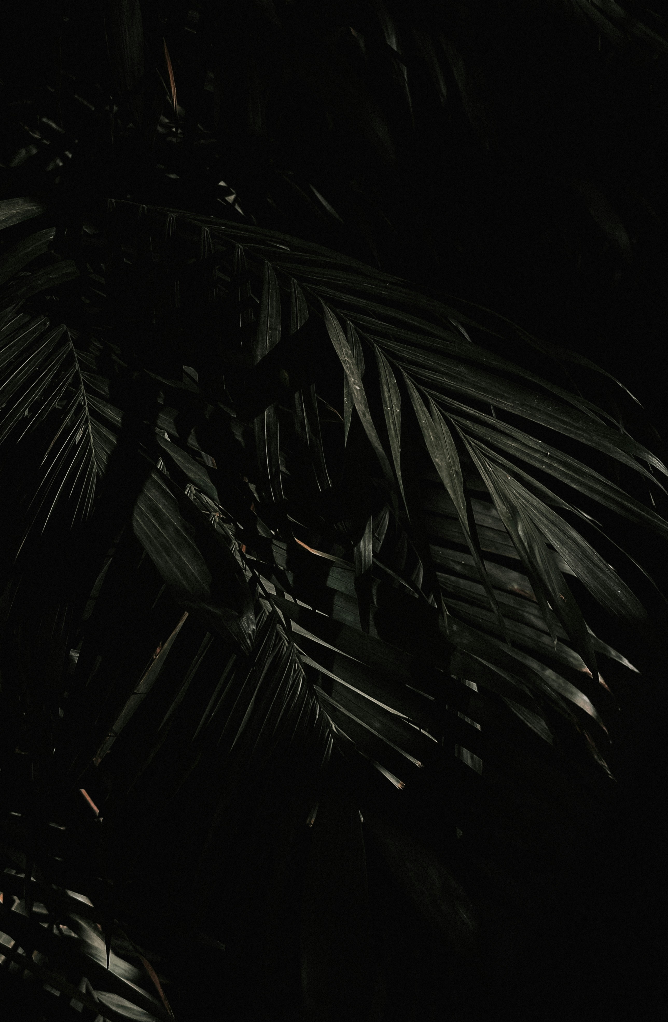 Photo by brunocervera