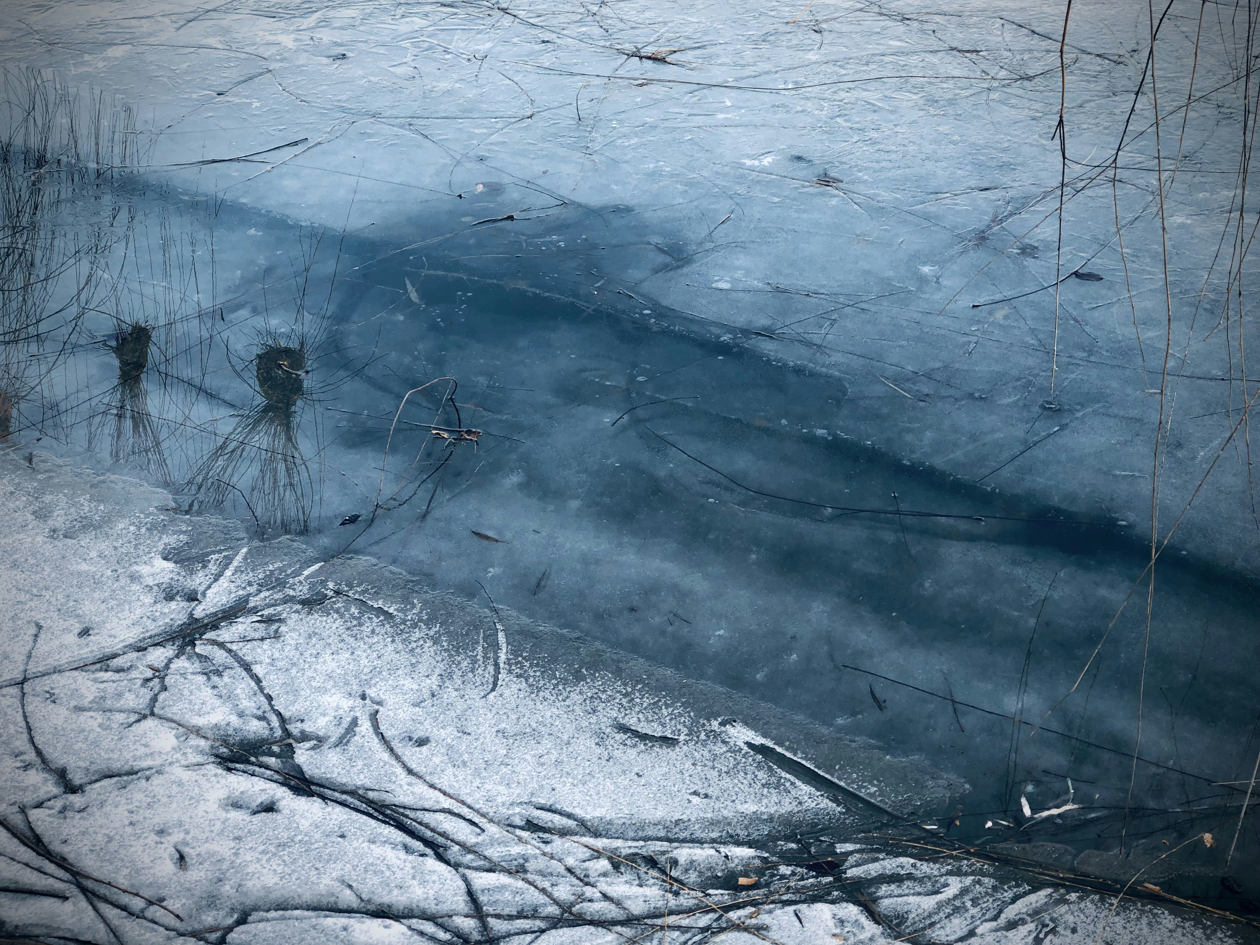 Frozen lake with some twigs and branches.