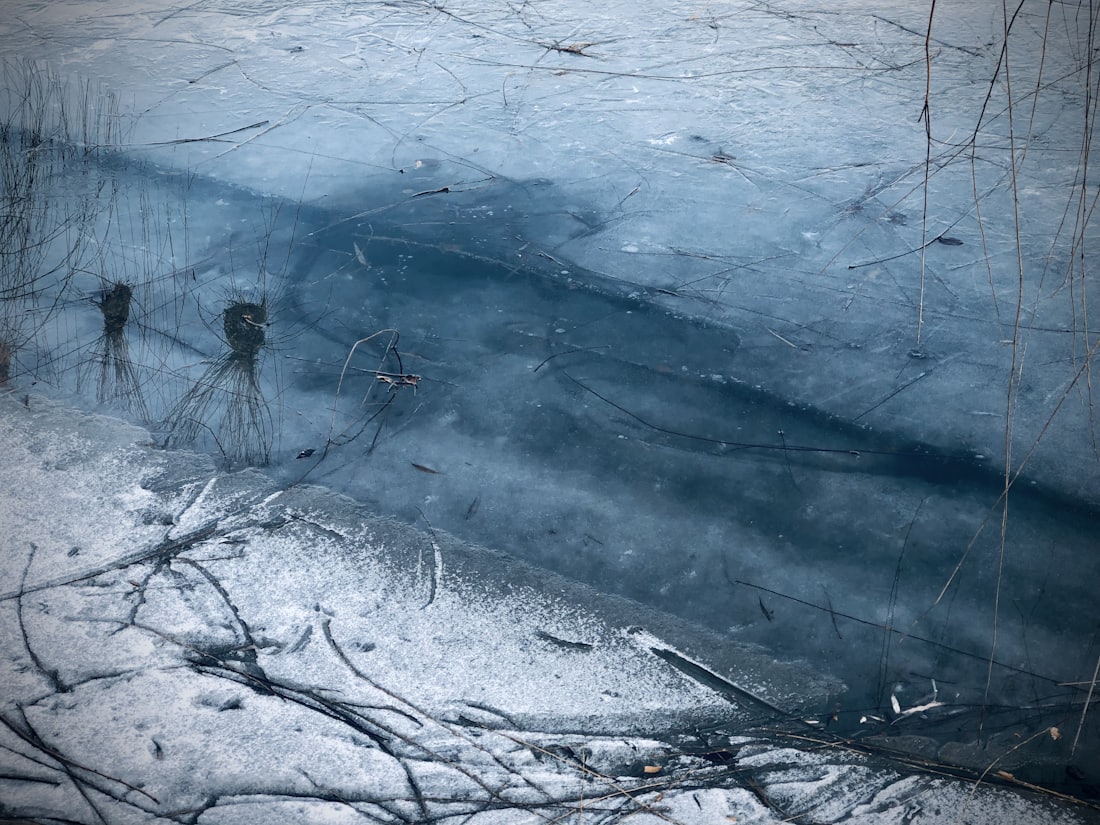 Zamarznięta rzeka i gałęzie