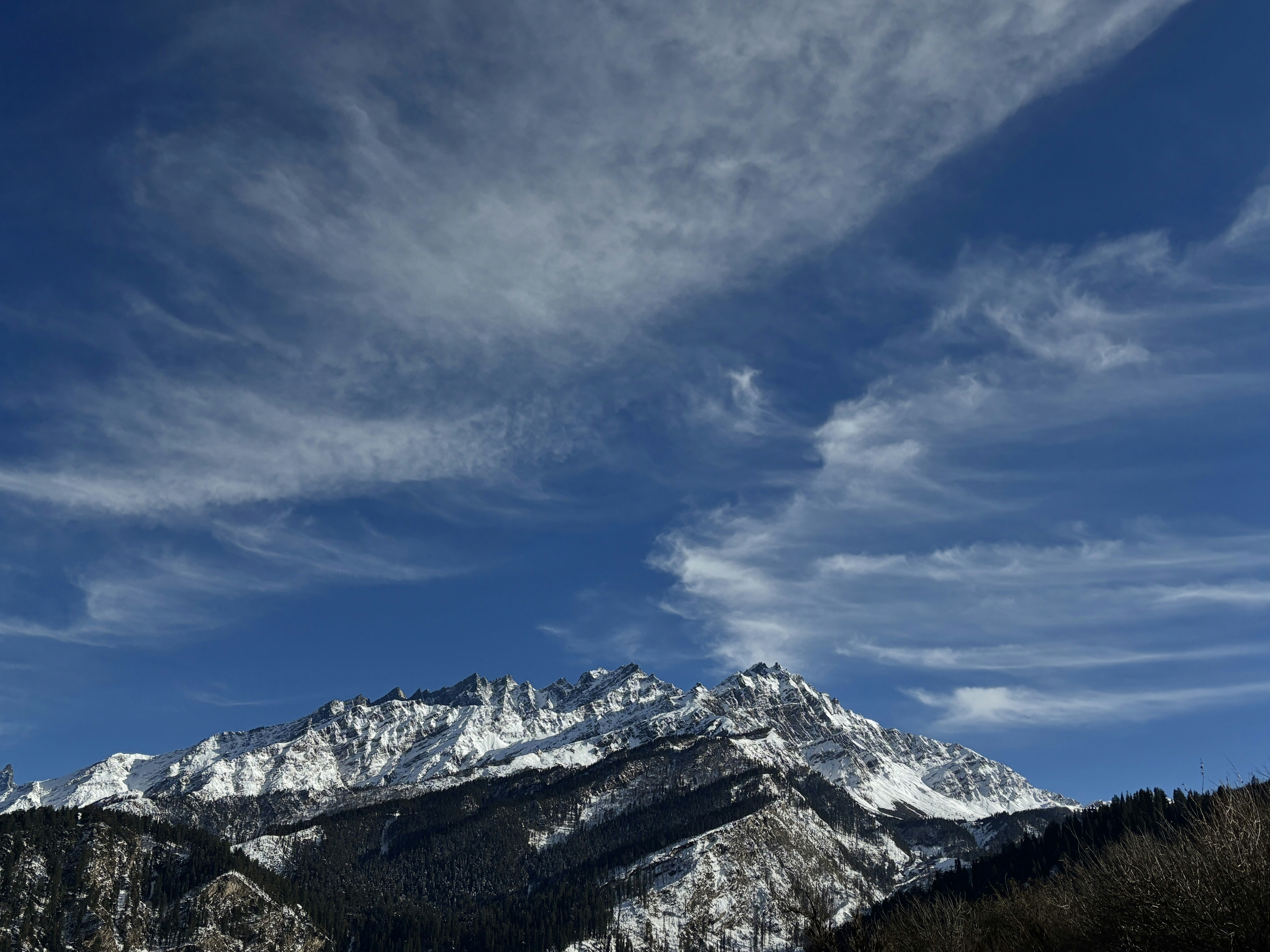 Photo by that_bored_beast