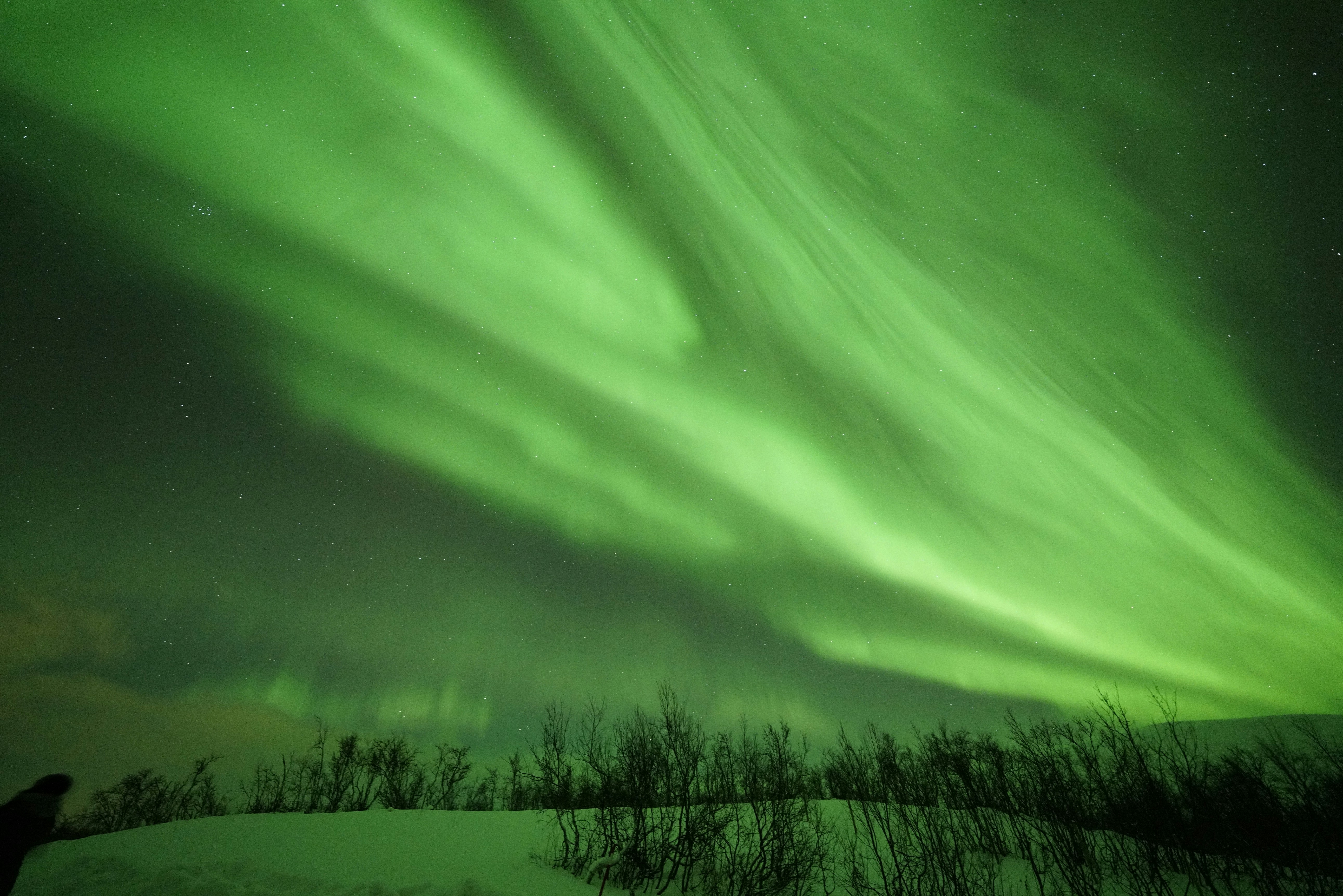 Photo by momo20230515