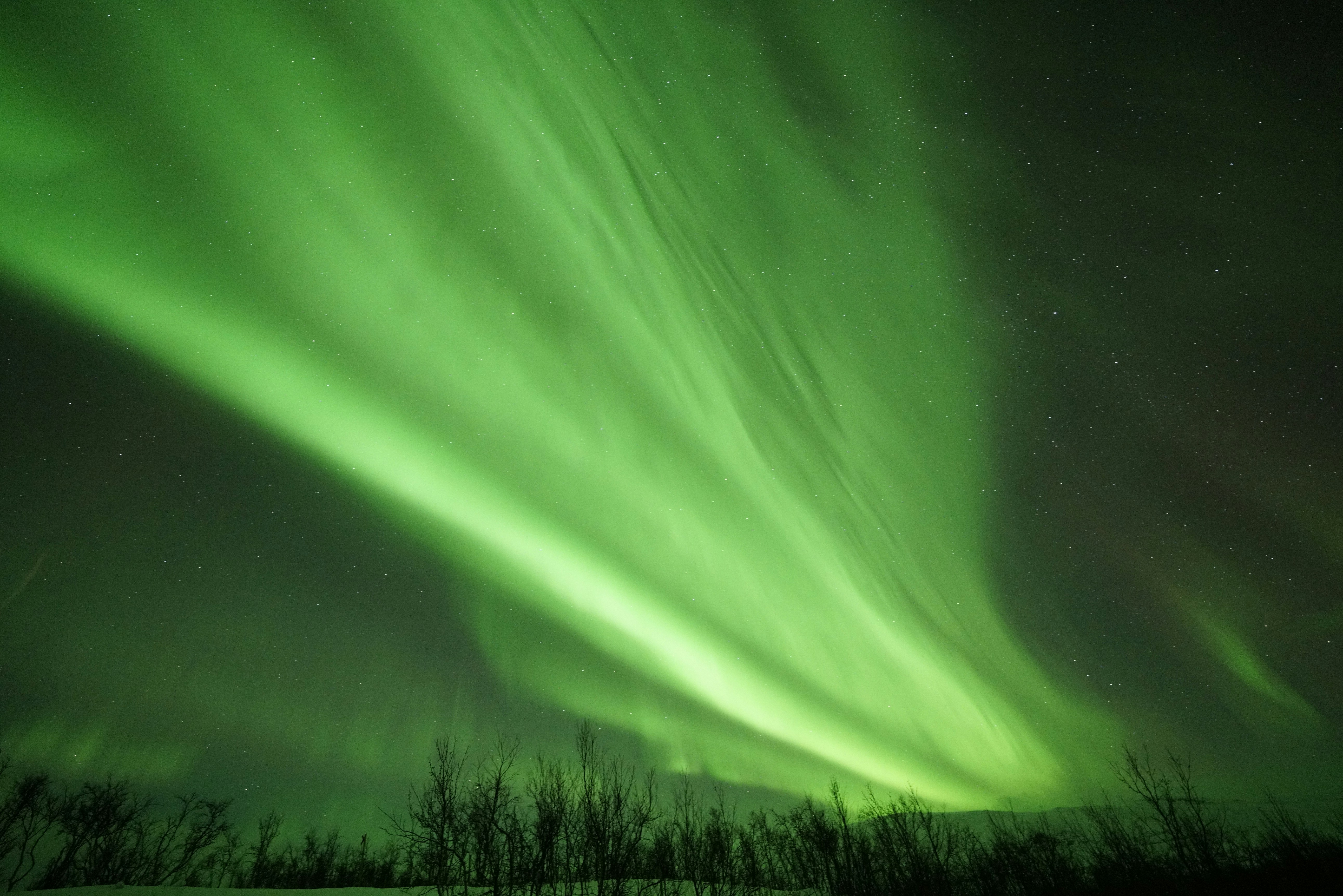 Photo by momo20230515