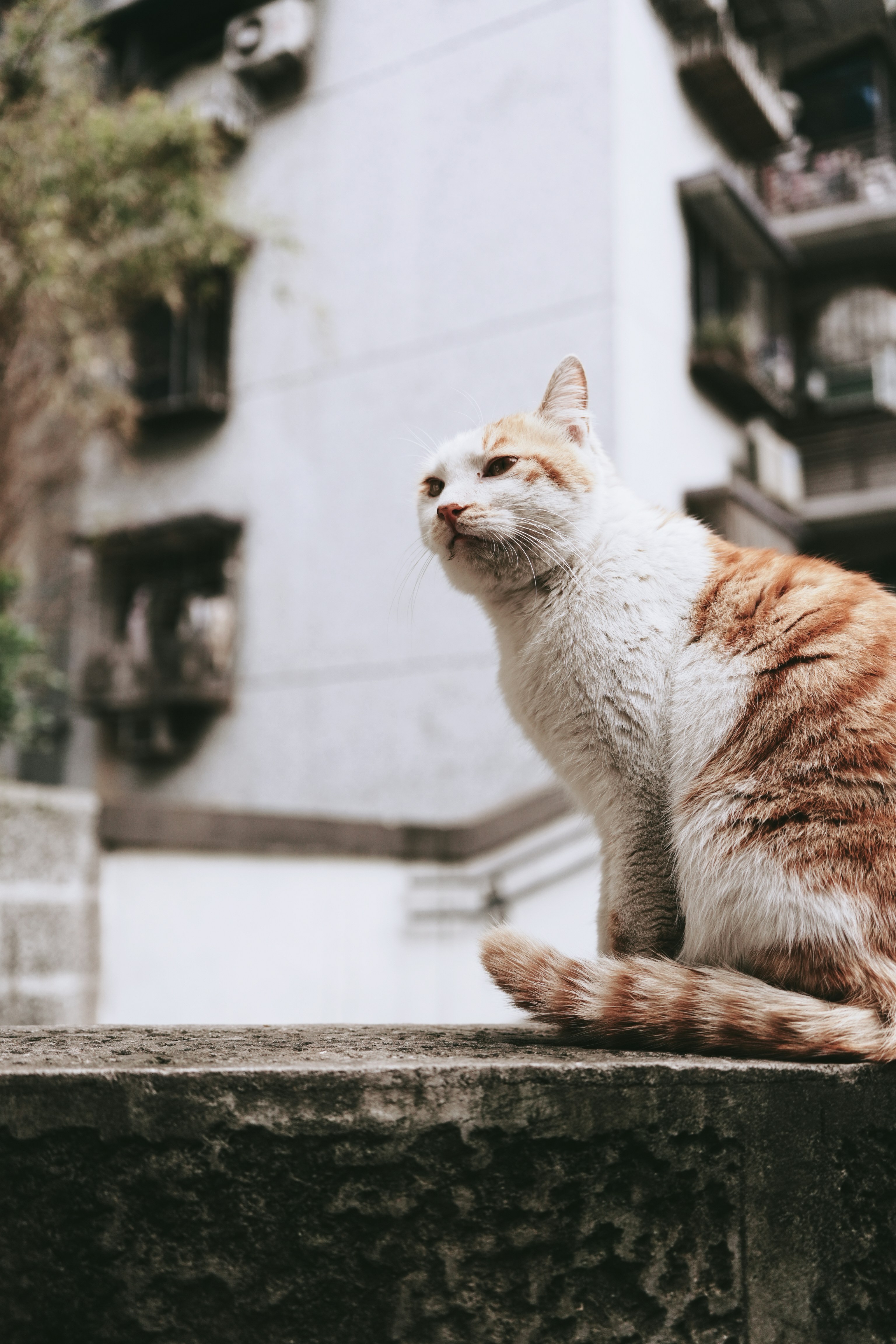 Photo by martinossss