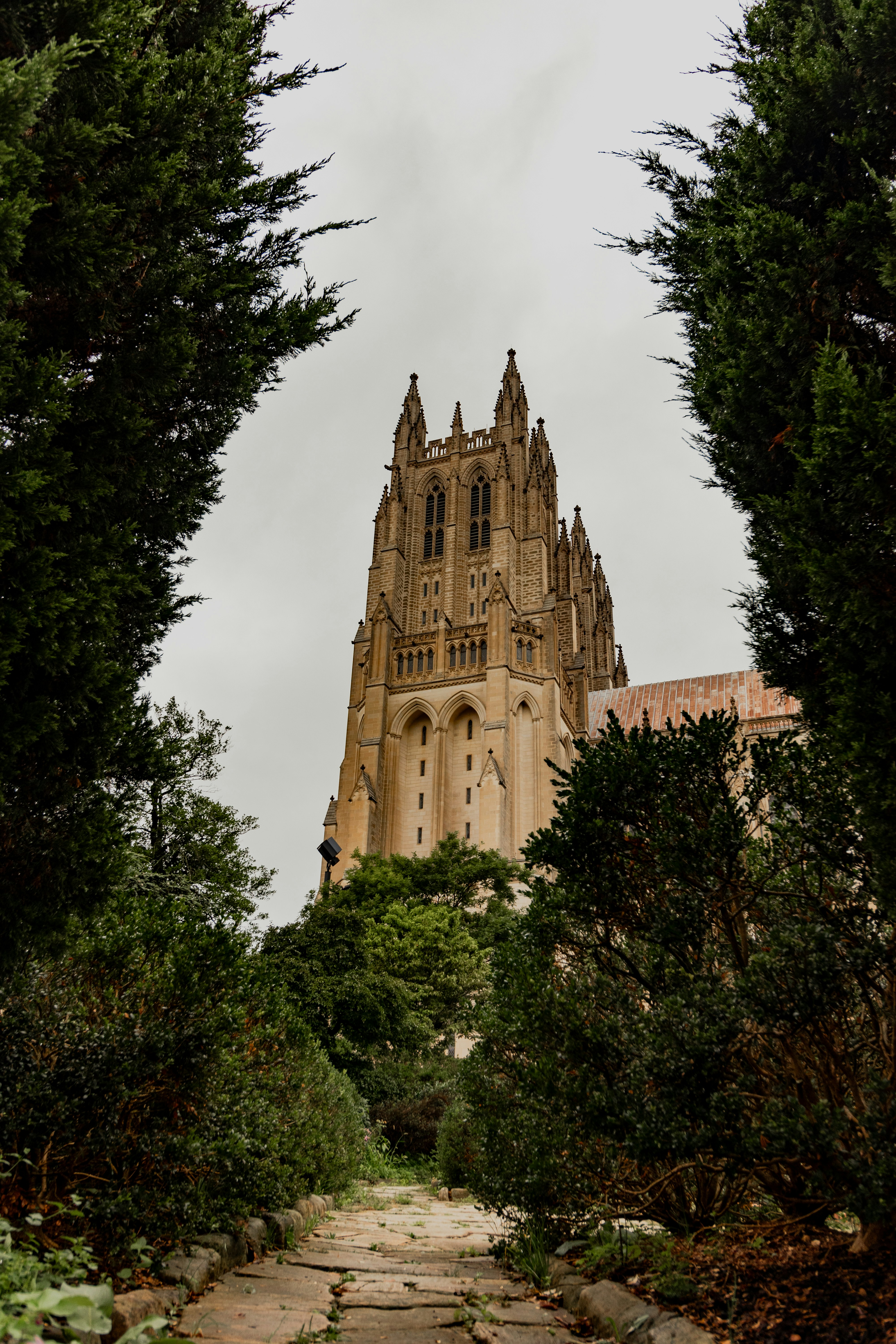 A path leads to a majestic gothic cathedral.