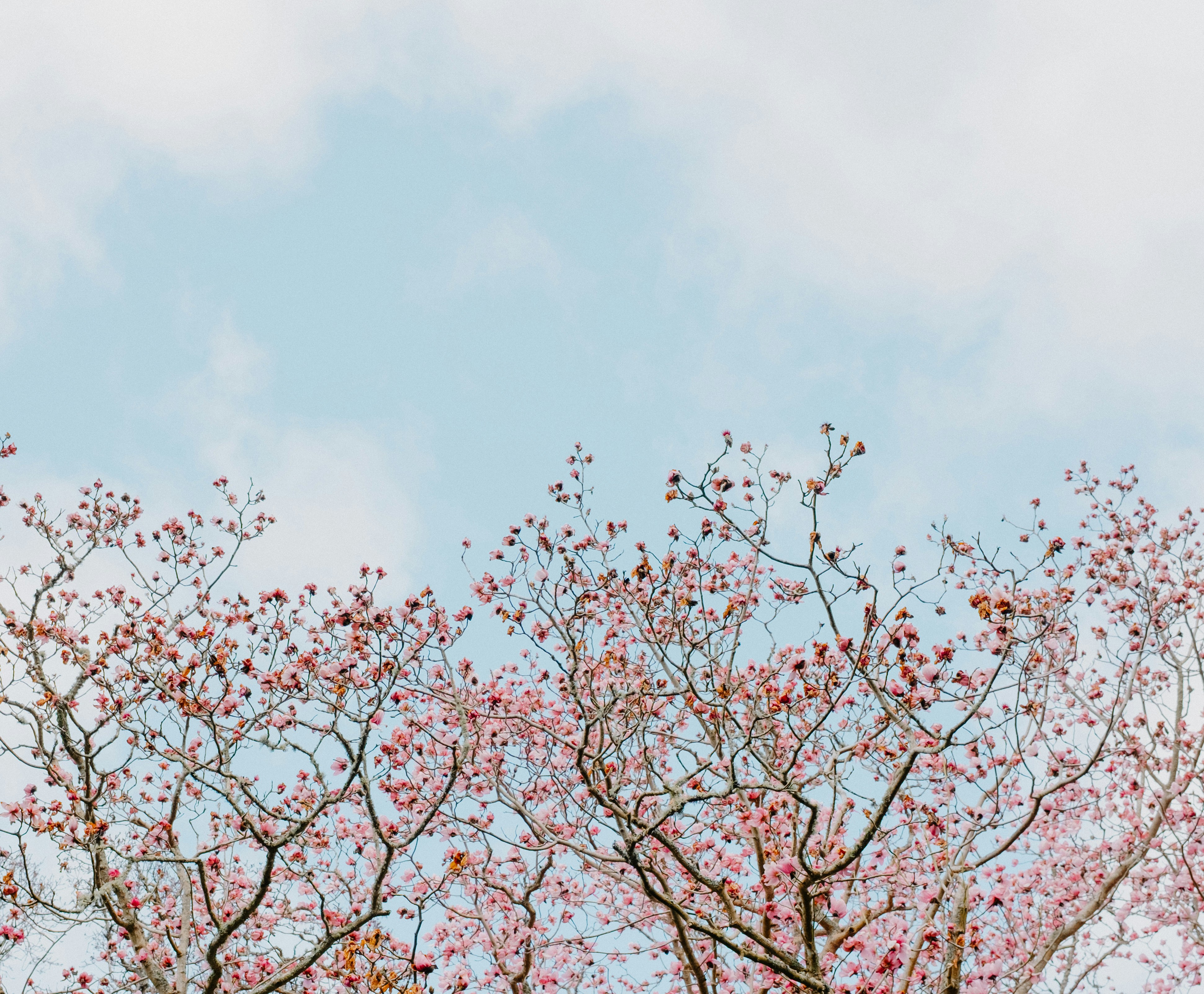 Photo by anniespratt