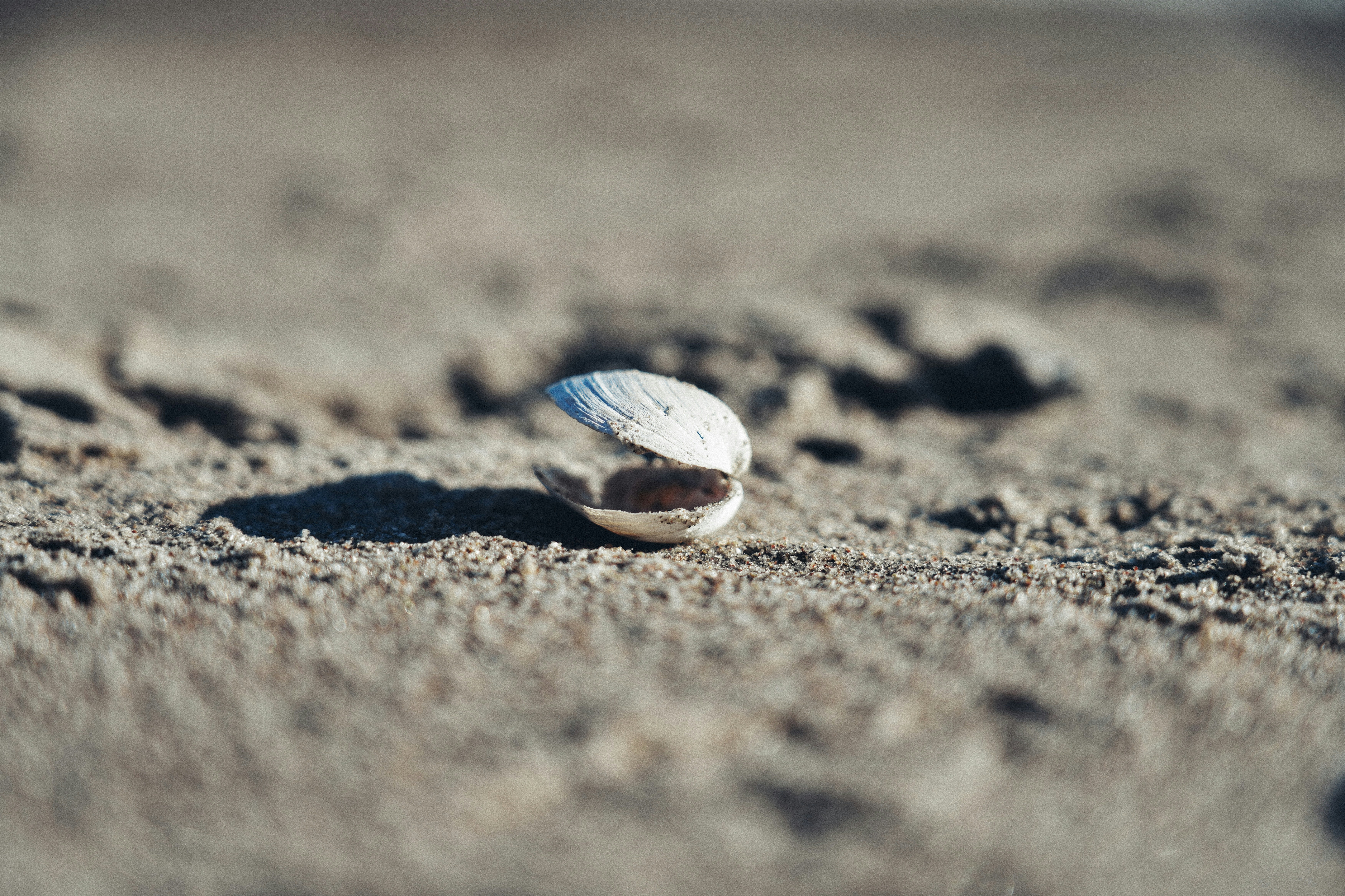 Ein veröffentlichtes Foto