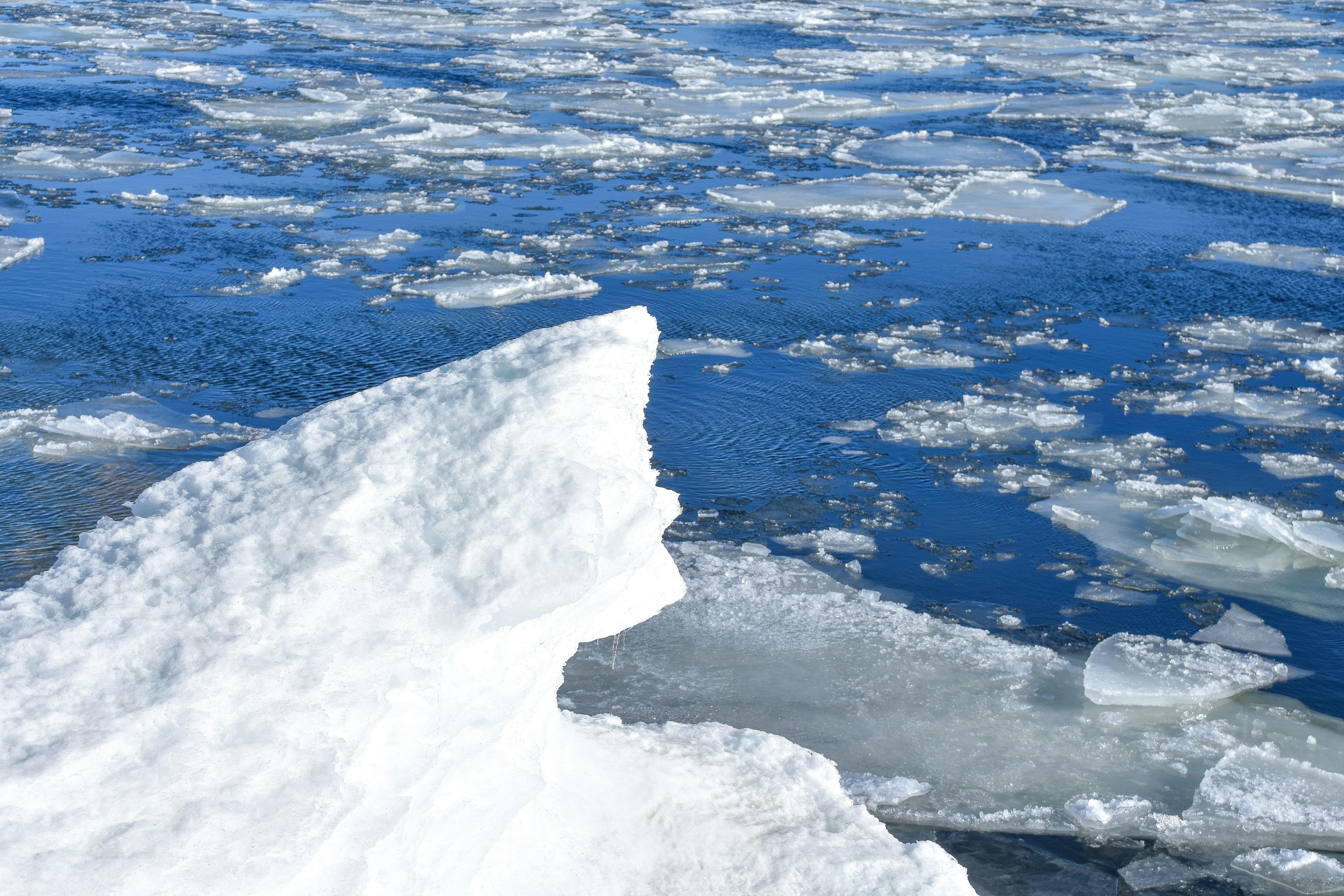 Photo by niklasjonasson