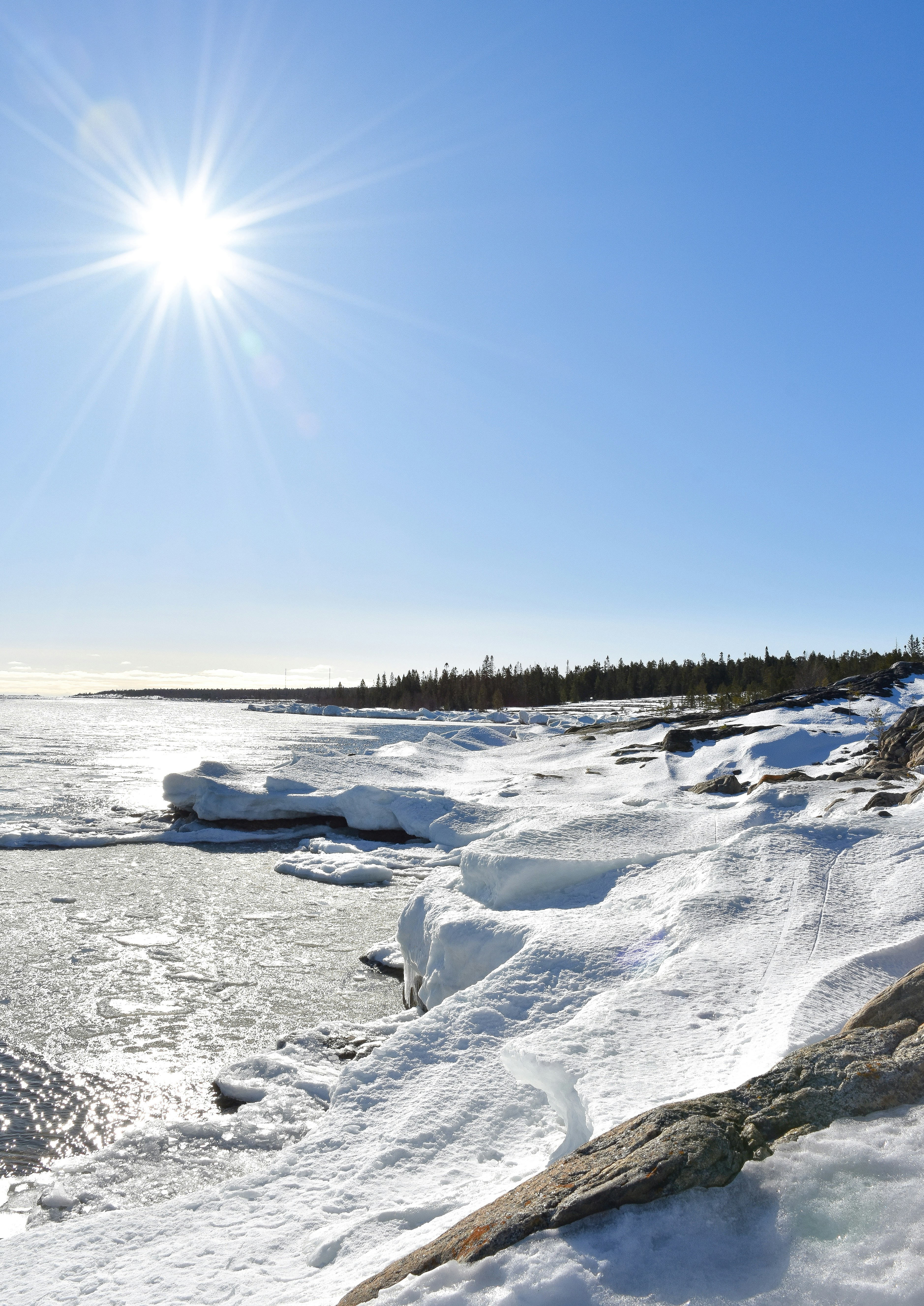 Photo by niklasjonasson