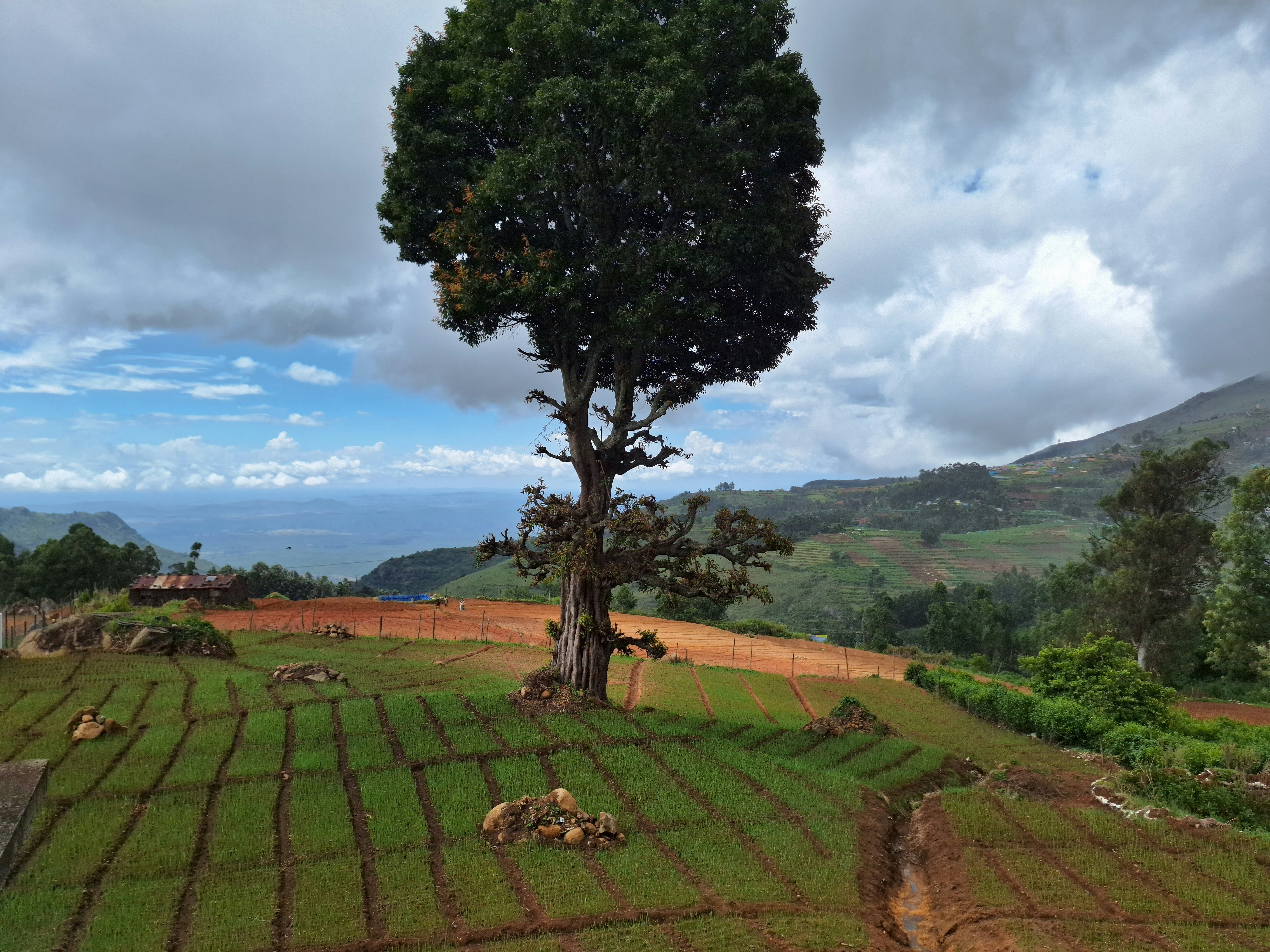 Photo by hackathon_champions