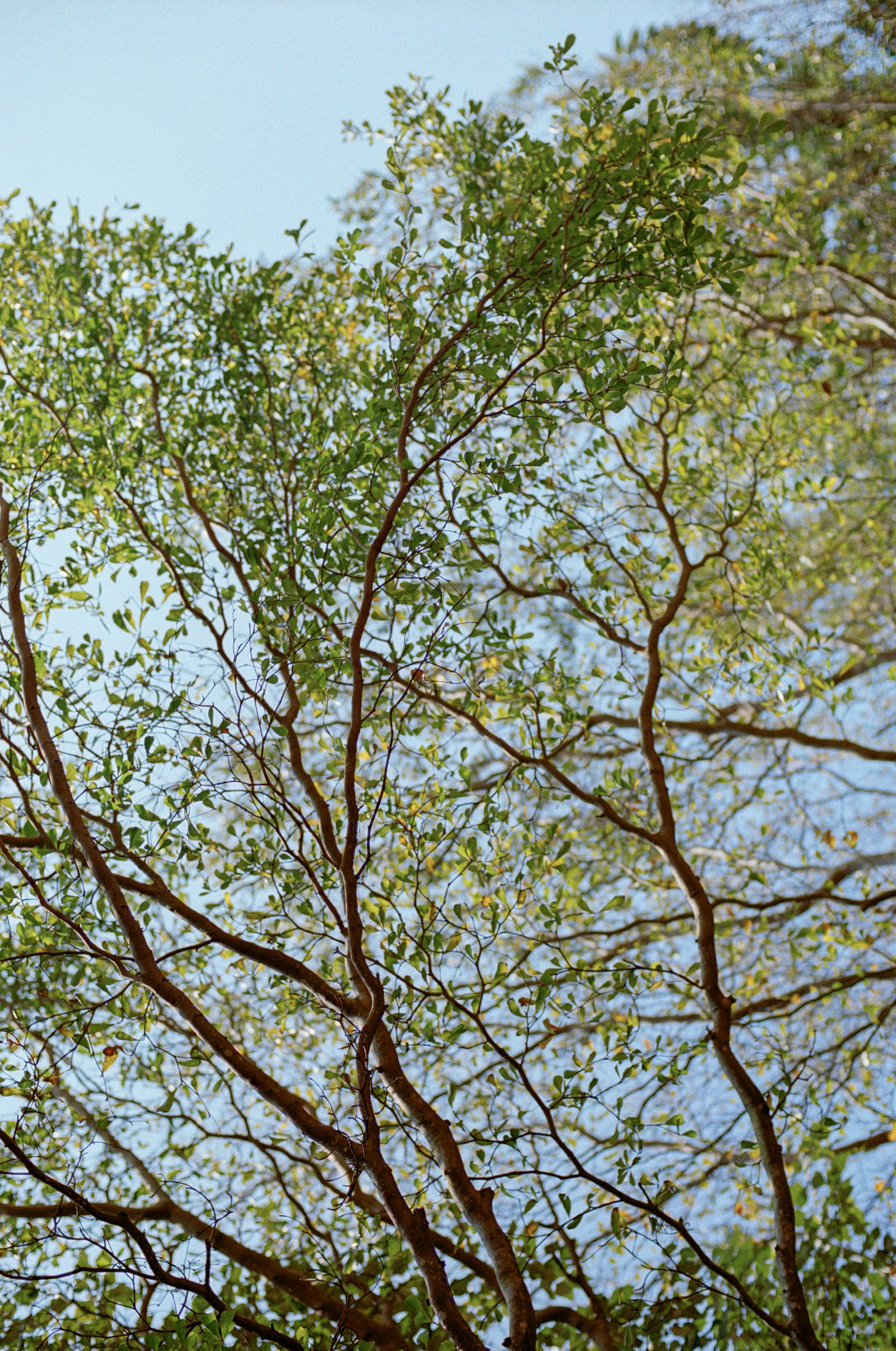 Photo by zhenyao_photo