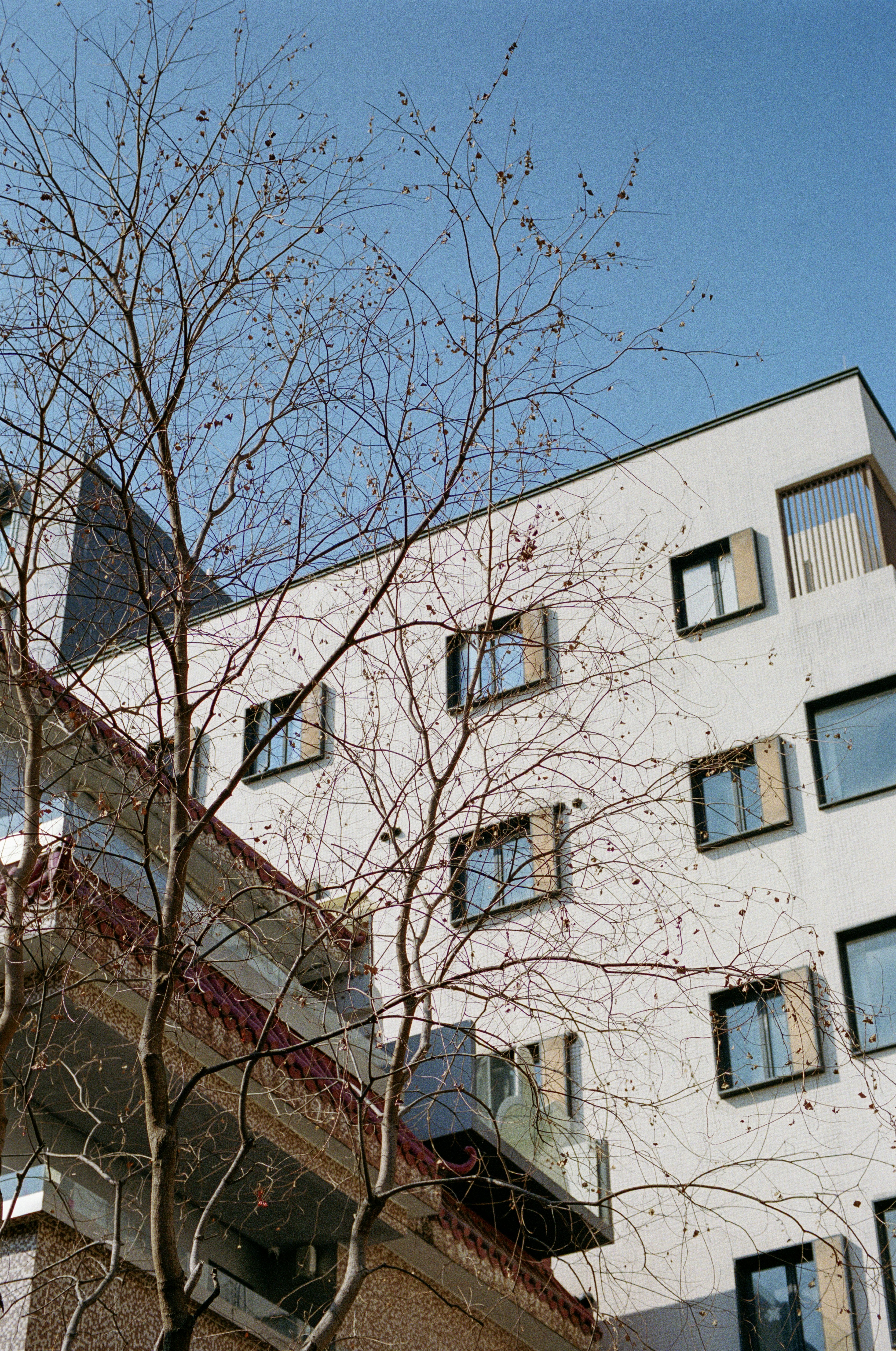 Photo by zhenyao_photo