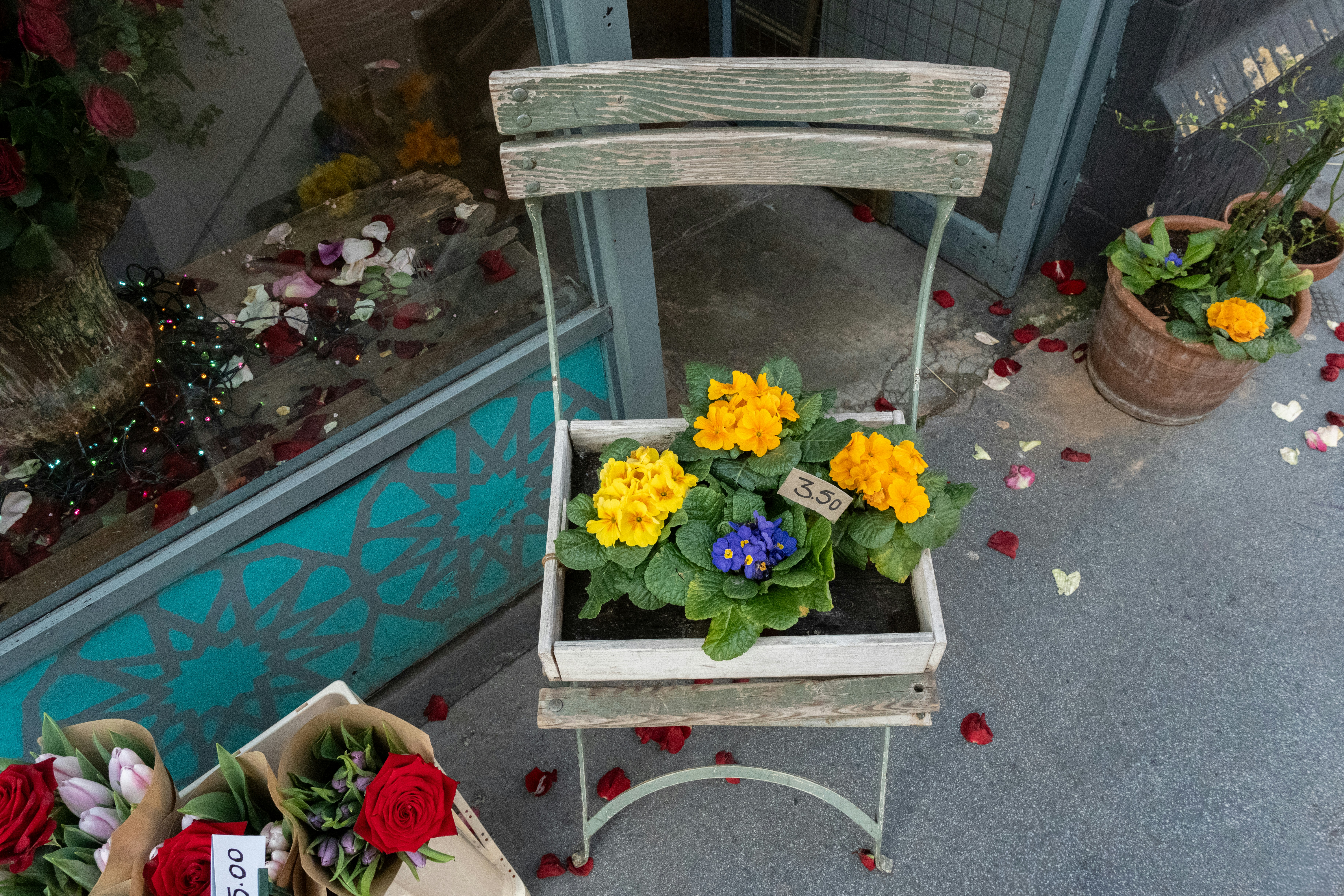 Photo by dankestsunny