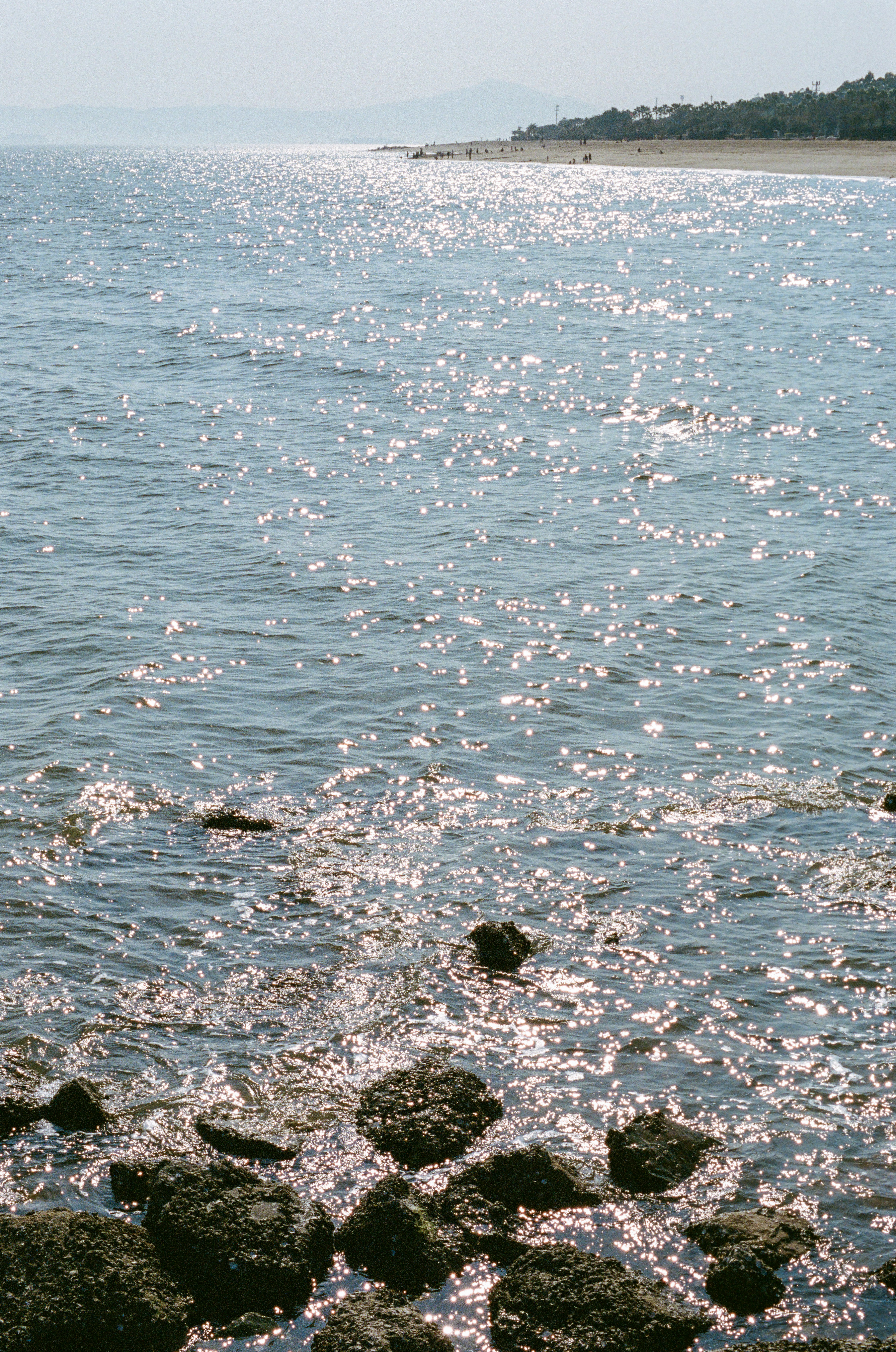 Photo by zhenyao_photo