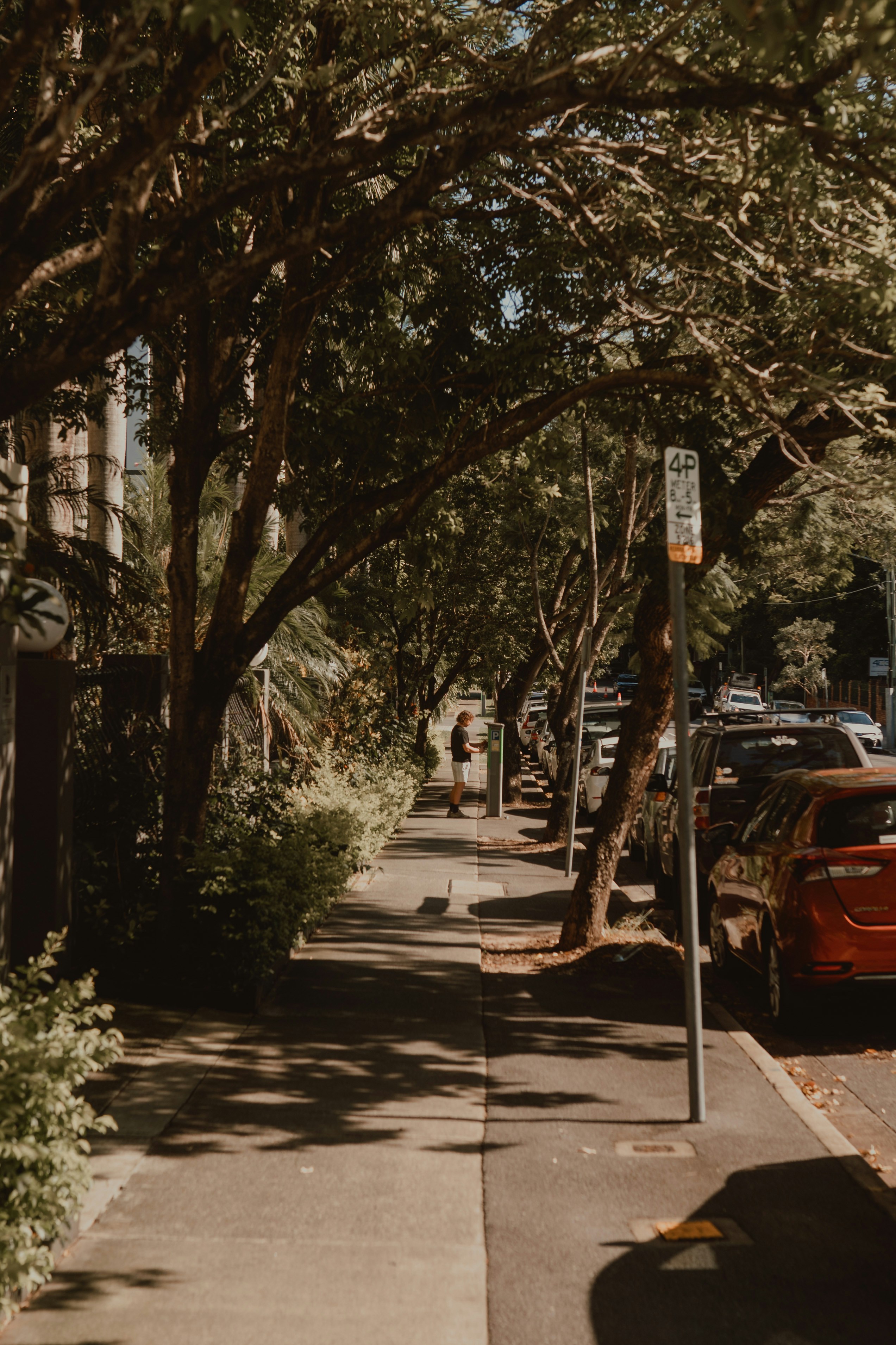 Photo by graceannefully