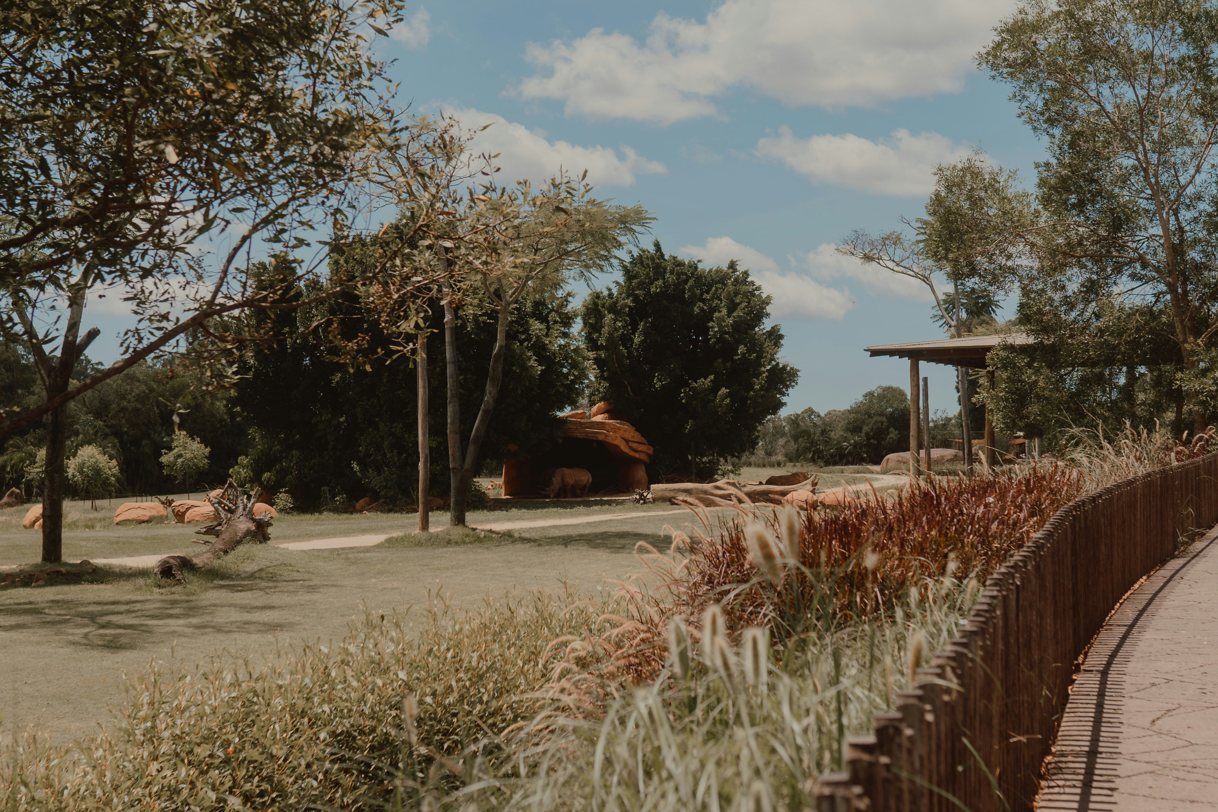 A park with trees, grass, and pathway on a sunny day.