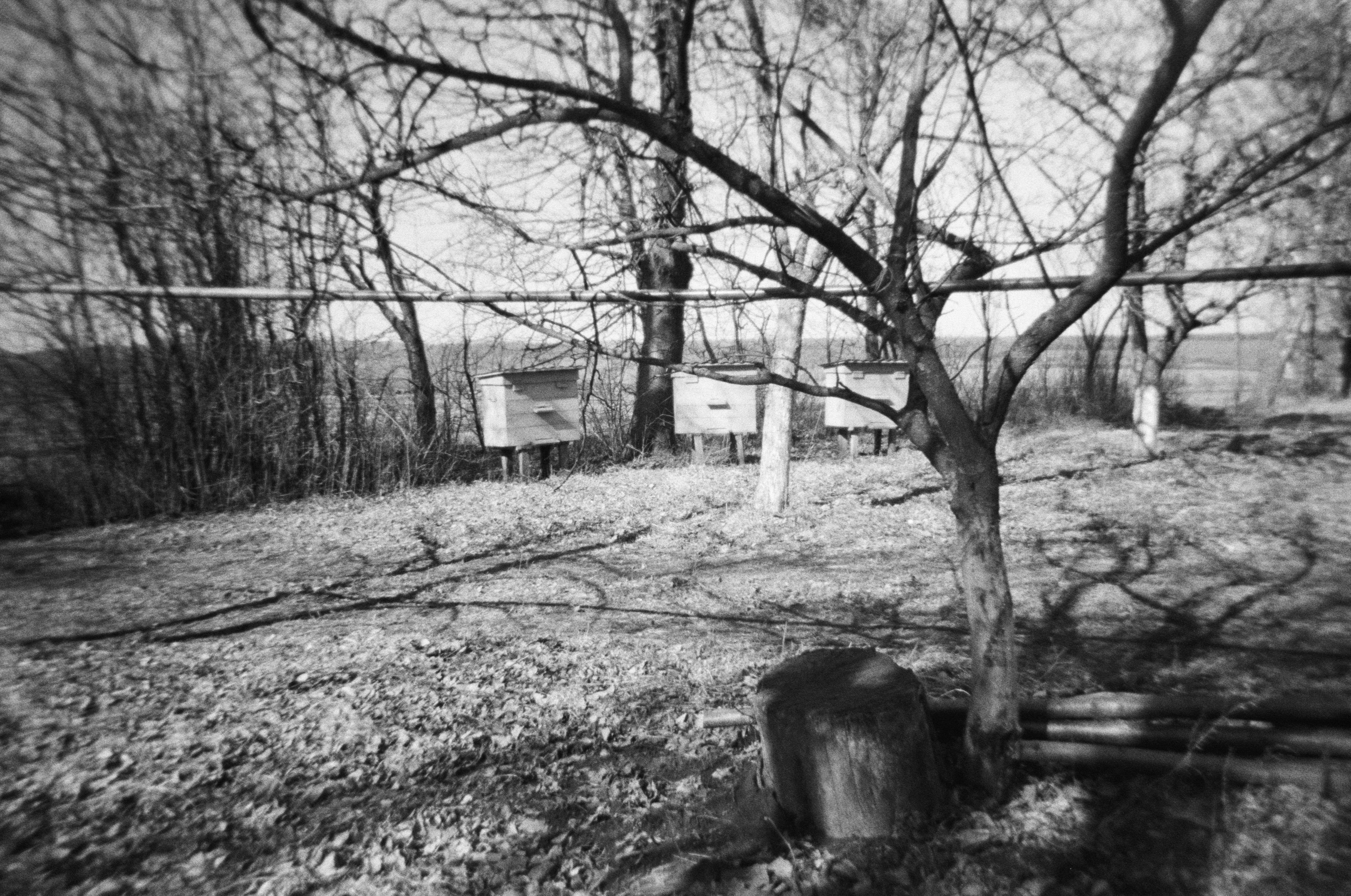 Photo by viktorsmoliak