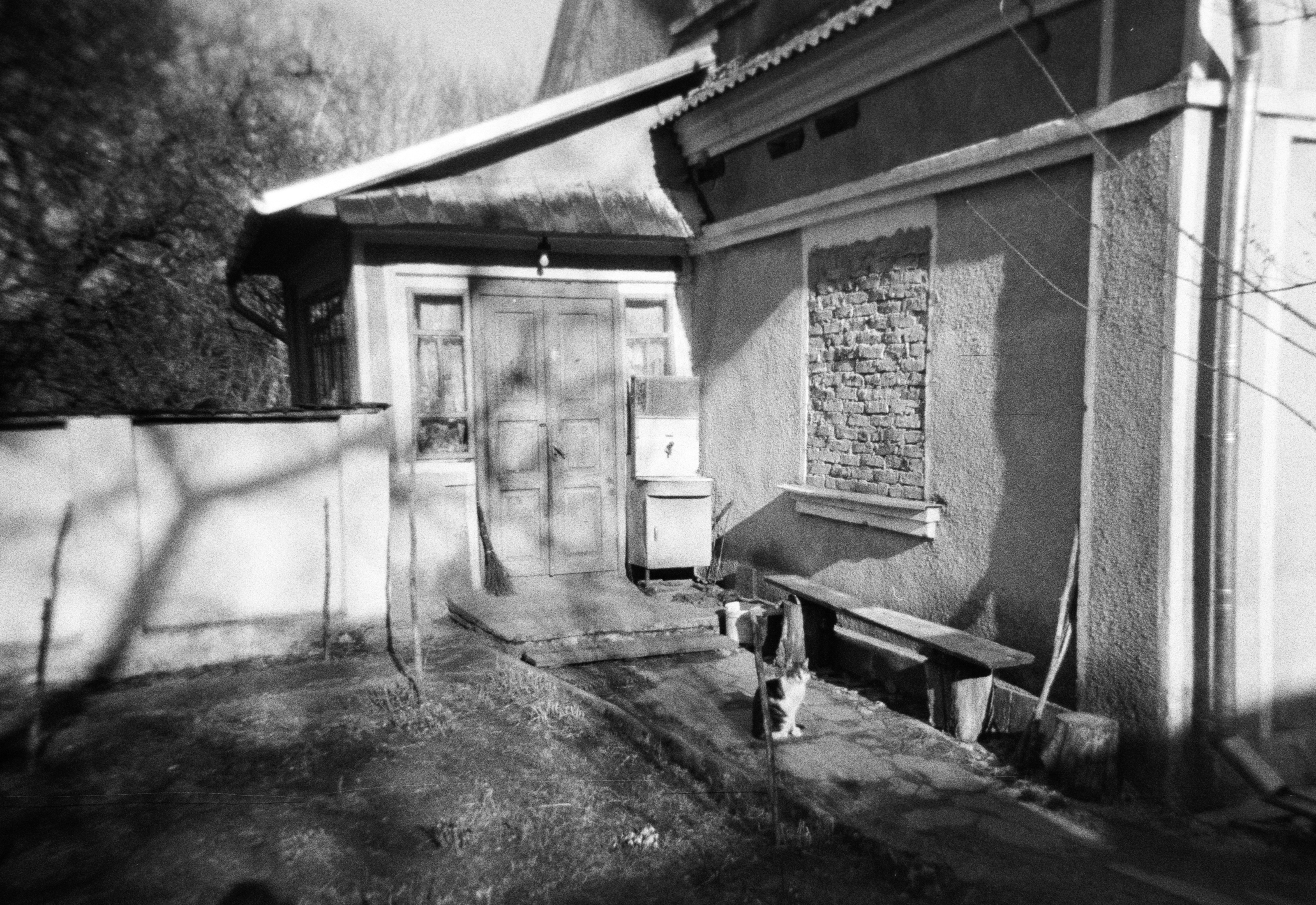 Photo by viktorsmoliak