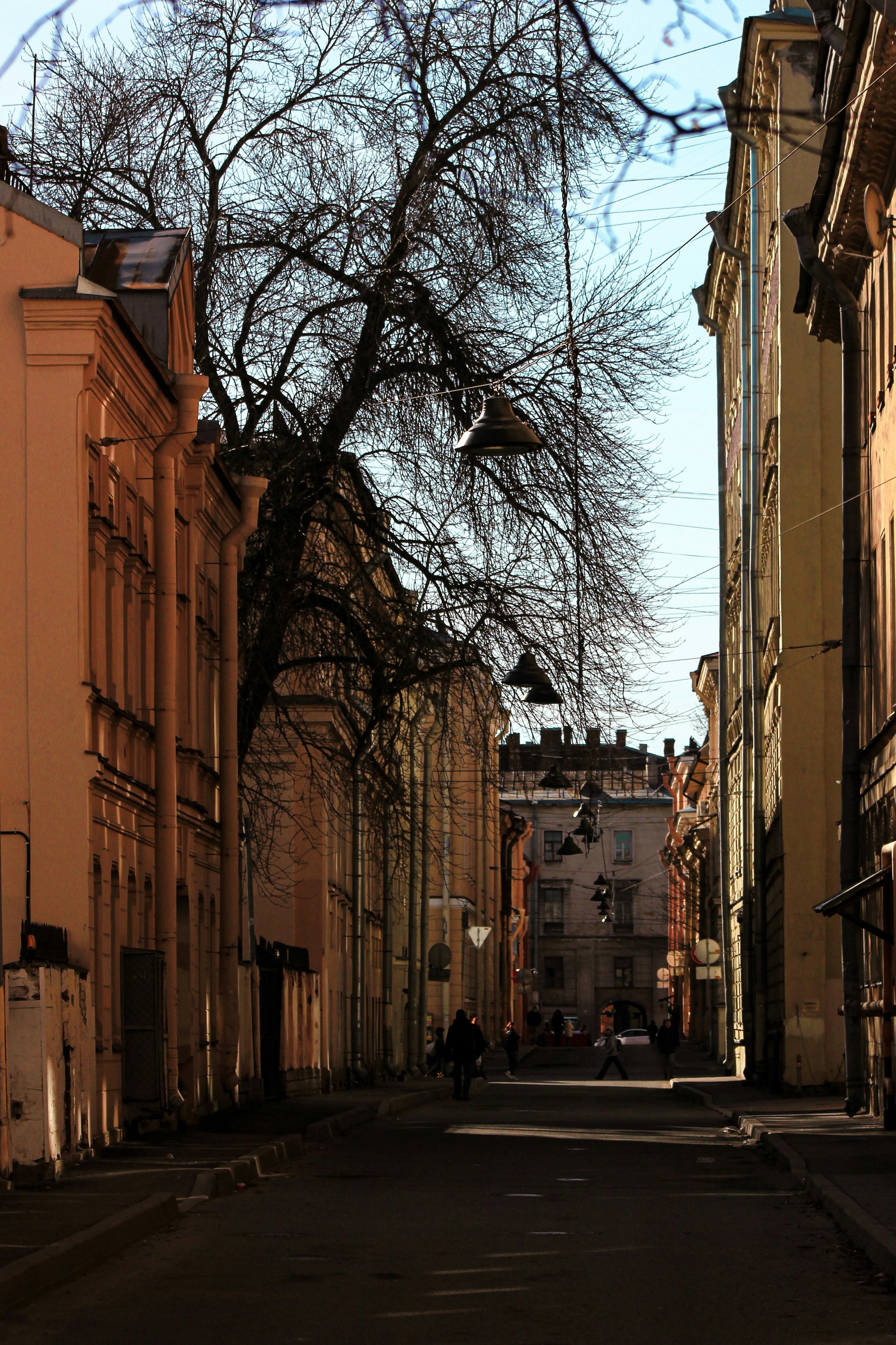 Photo by squirrelinside