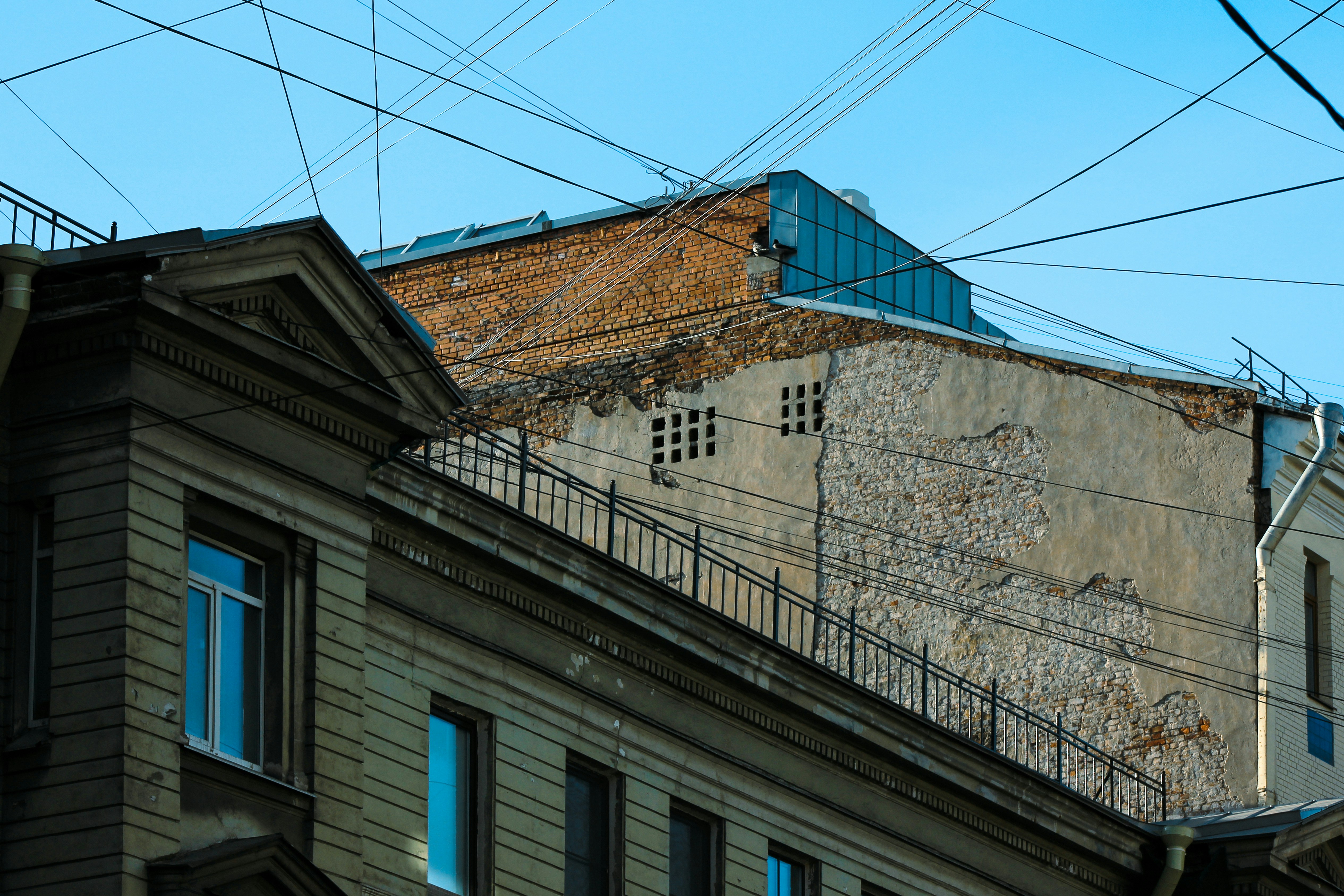 Photo by squirrelinside