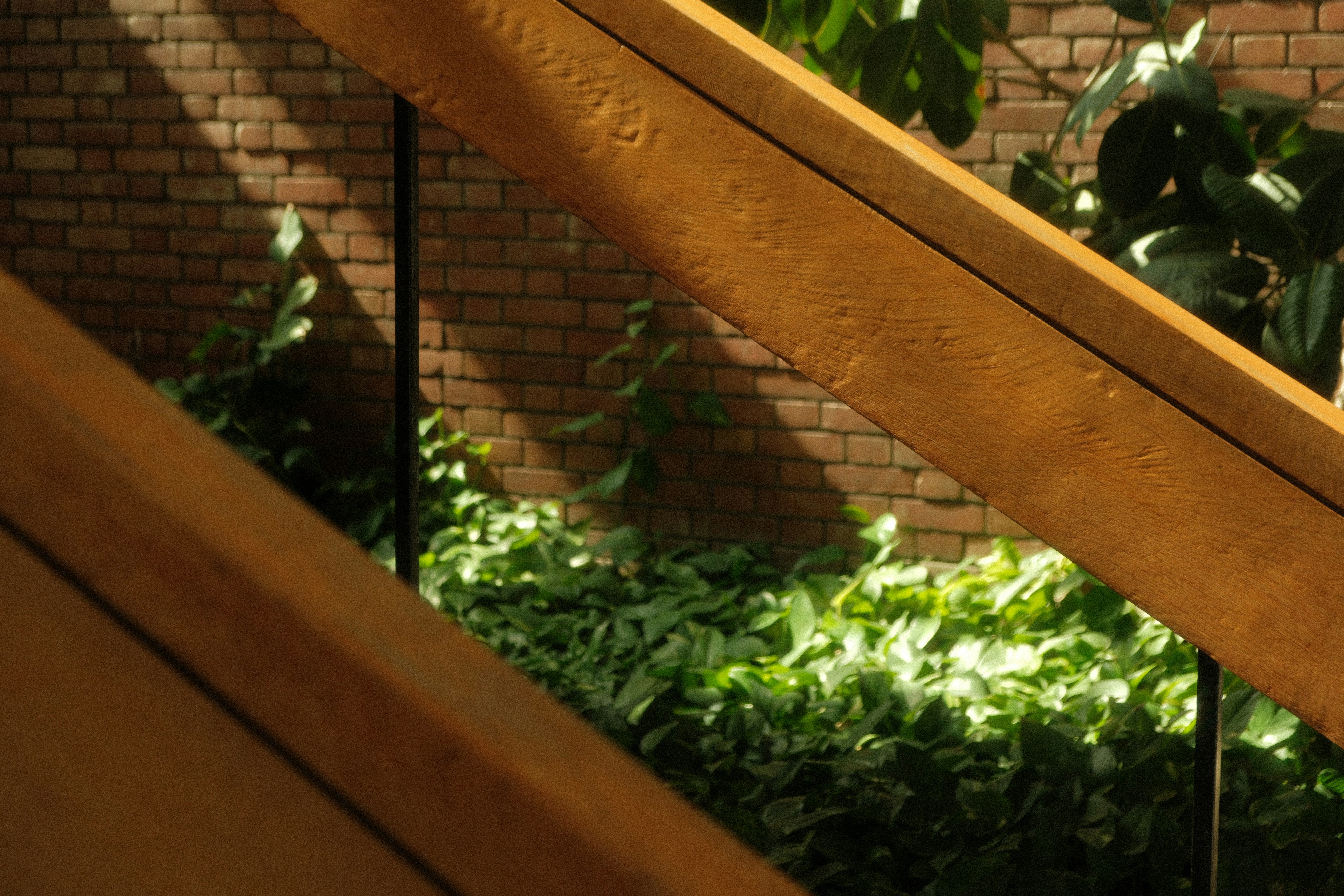 Photo by ismailefetop