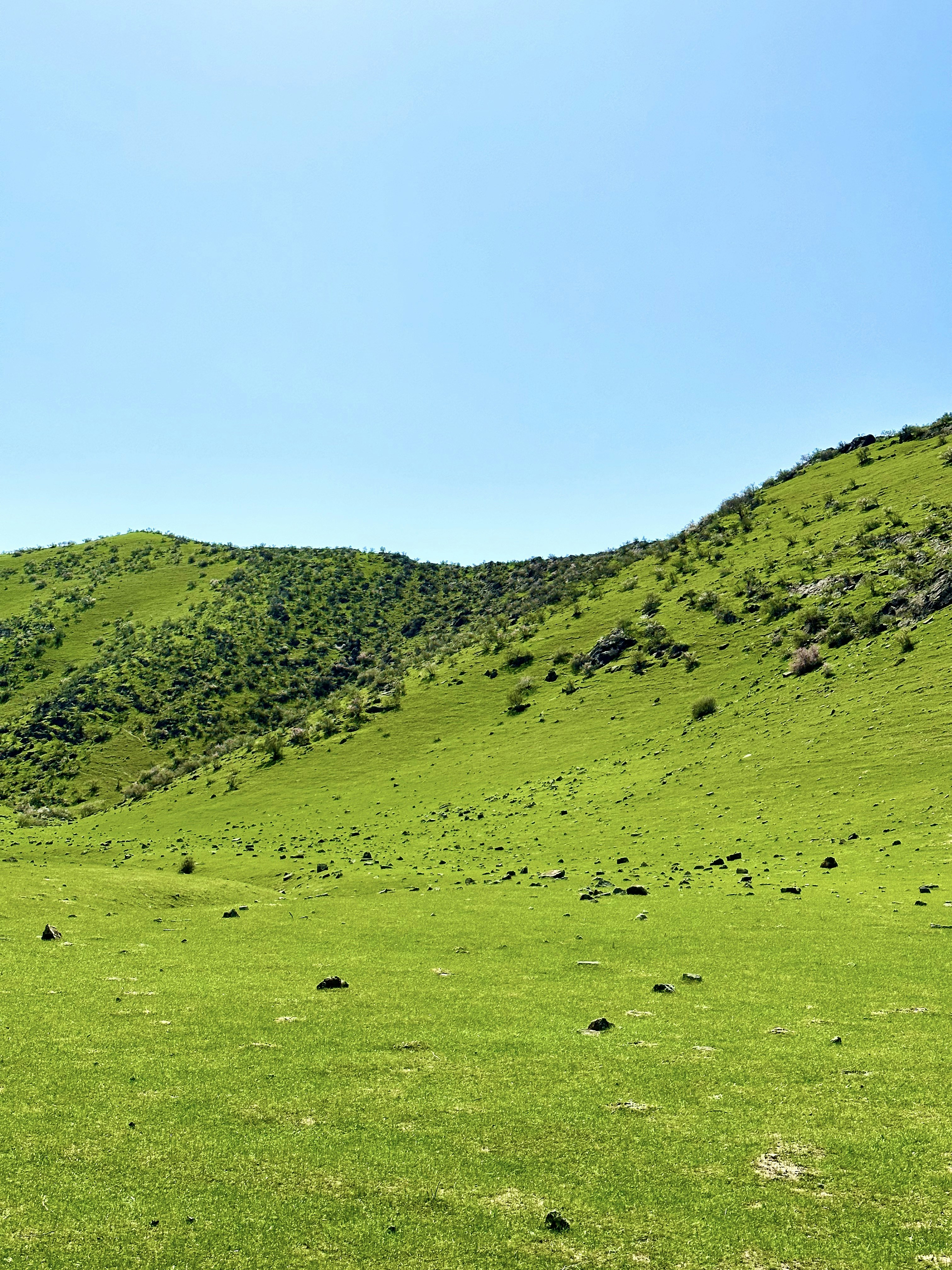 Photo by farruhabdujabborov