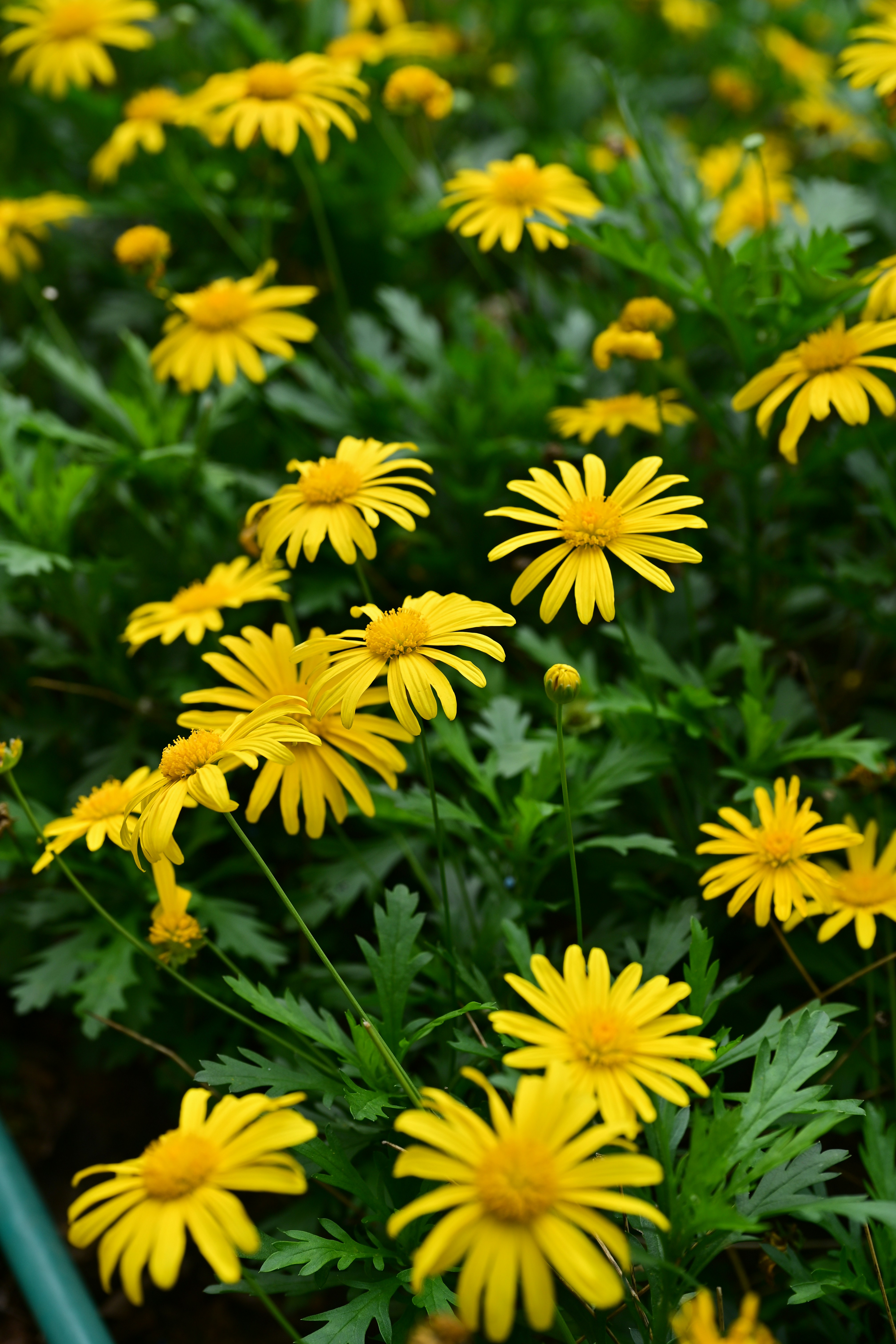 Photo by seanwuphoto