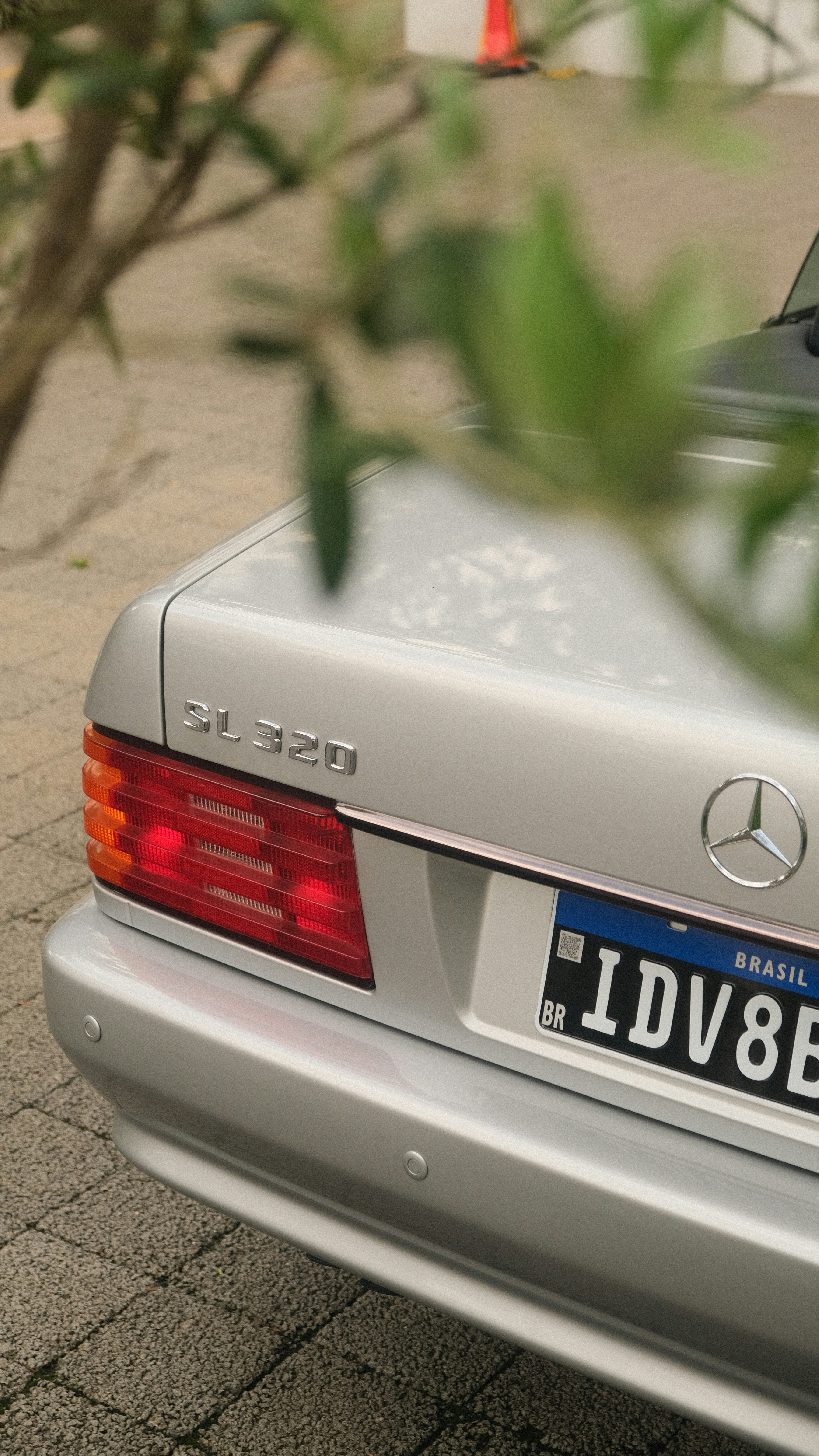 Silver mercedes sl320 partially hidden by leaves.