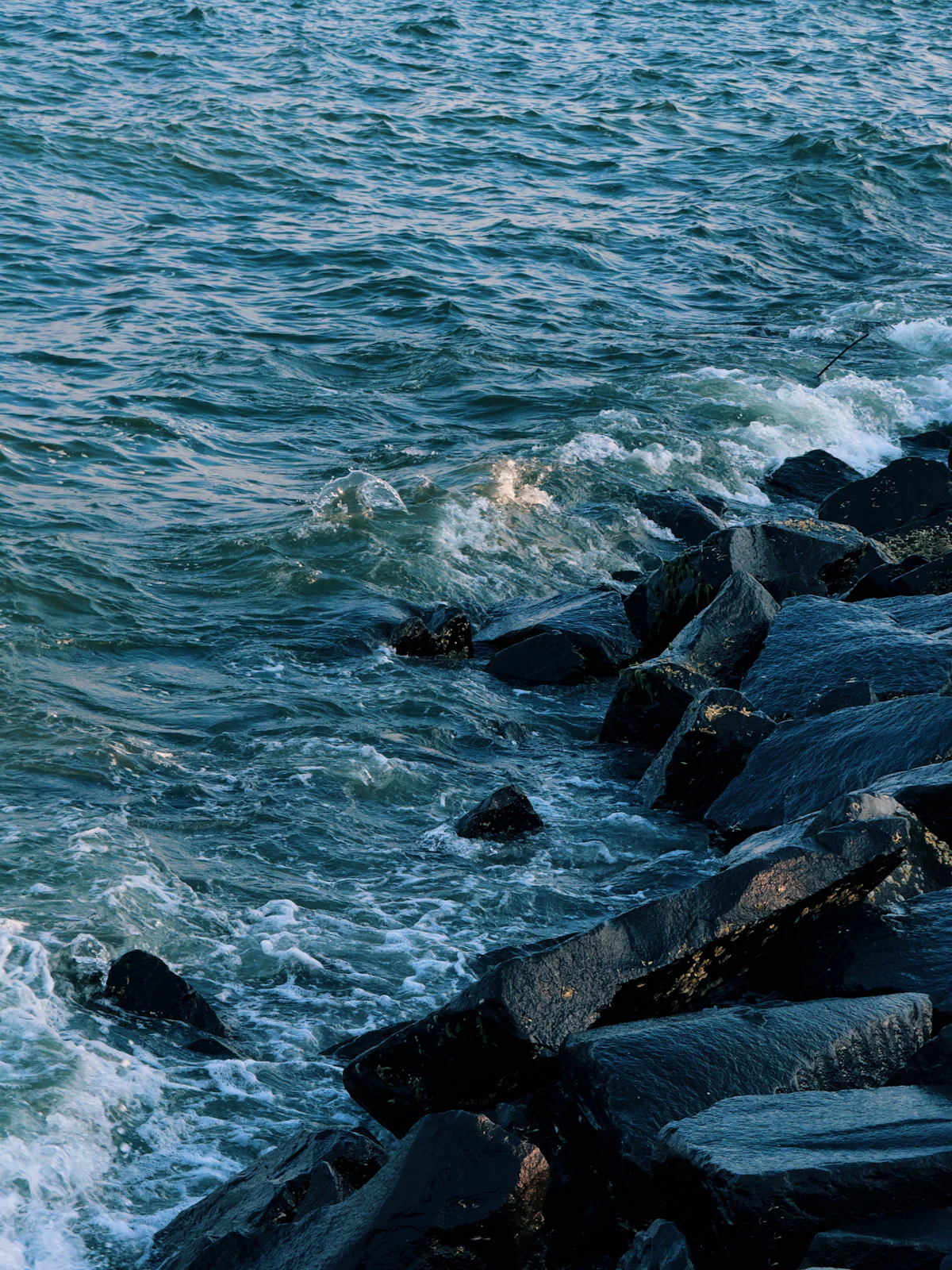 Malvan & Tarkarli