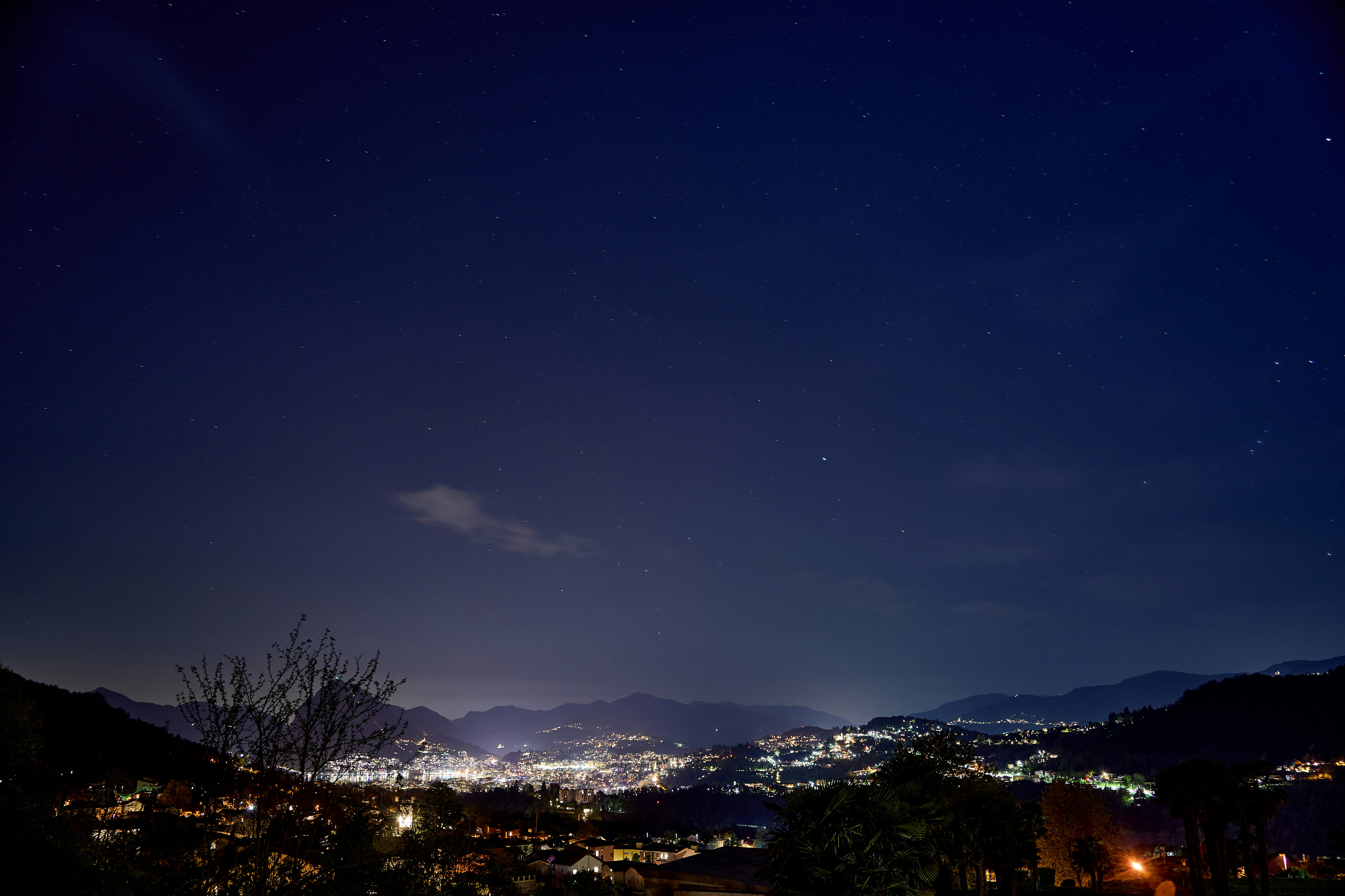 Photo by wolfgang_hasselmann