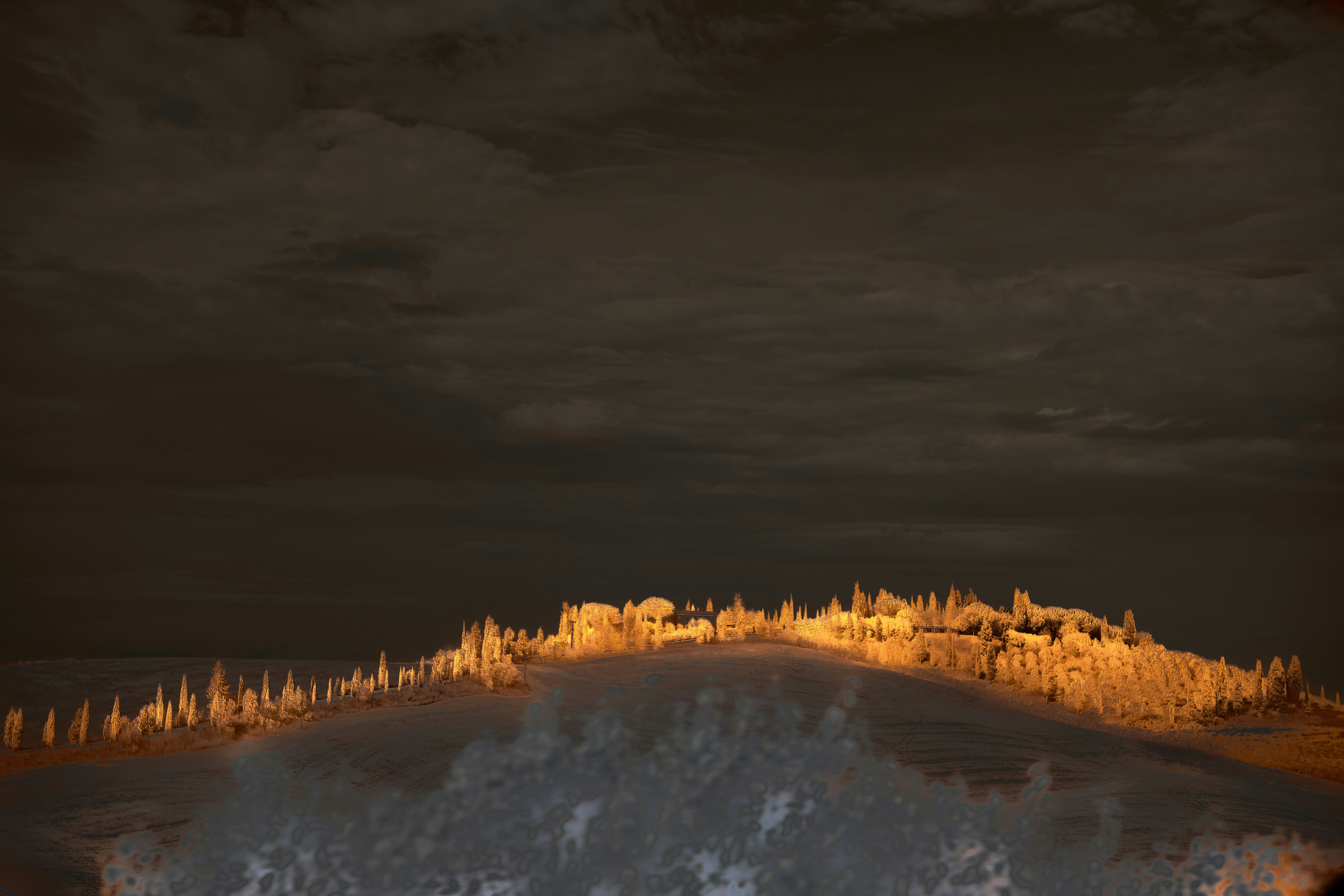 Photo by wolfgang_hasselmann