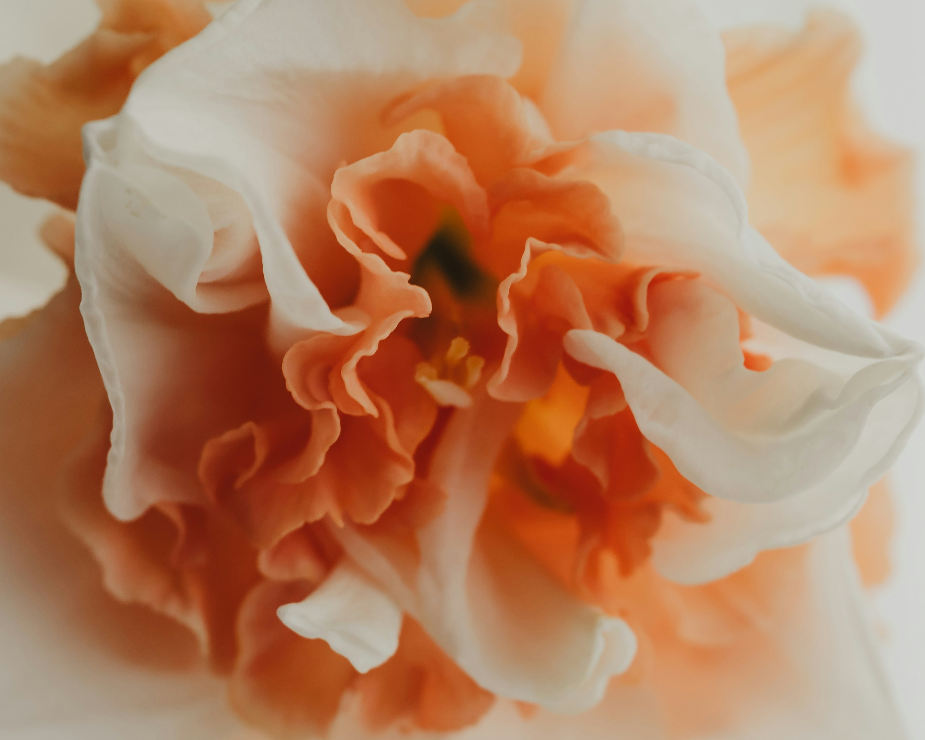 Photo by sixteenmilesout