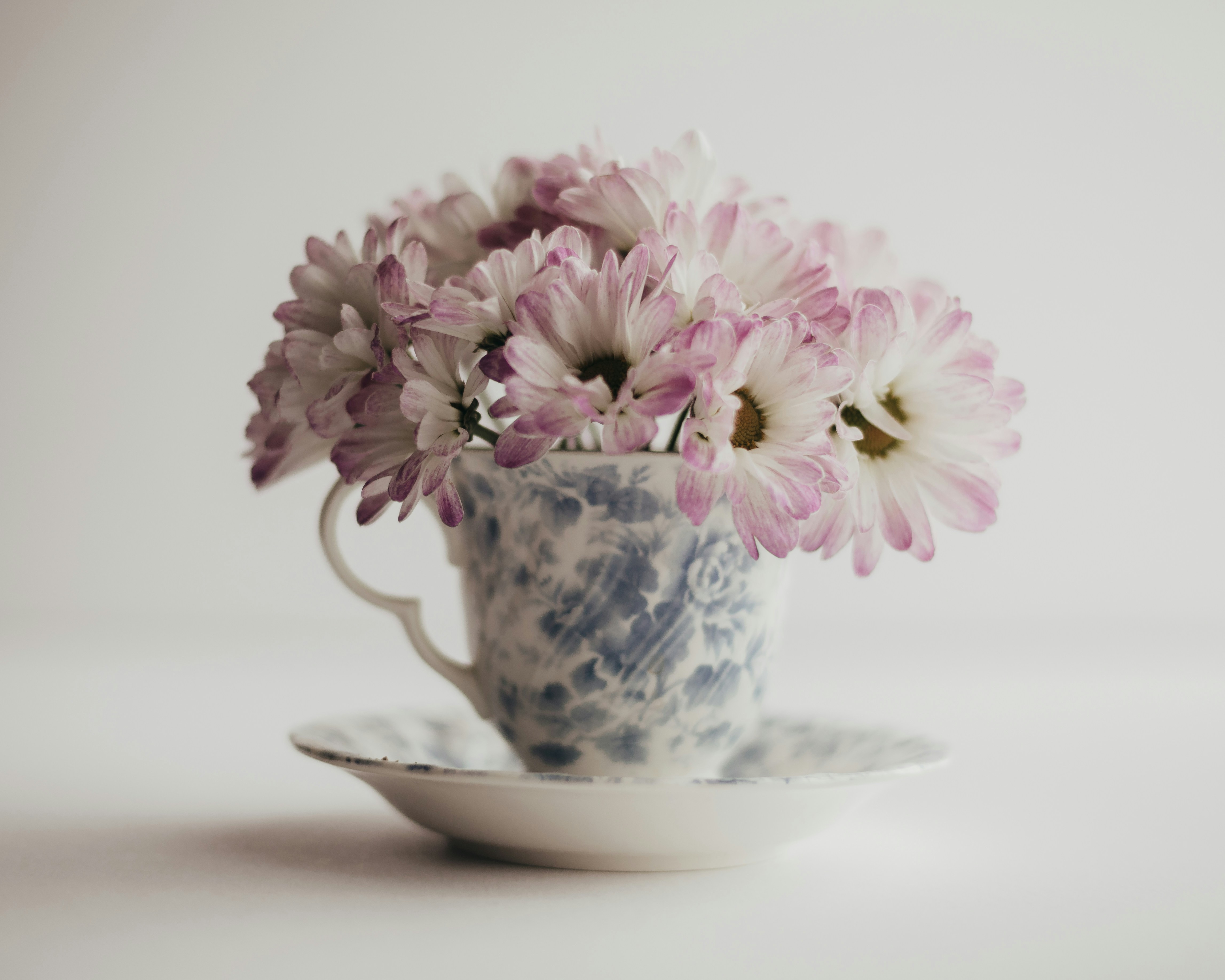 Photo by sixteenmilesout