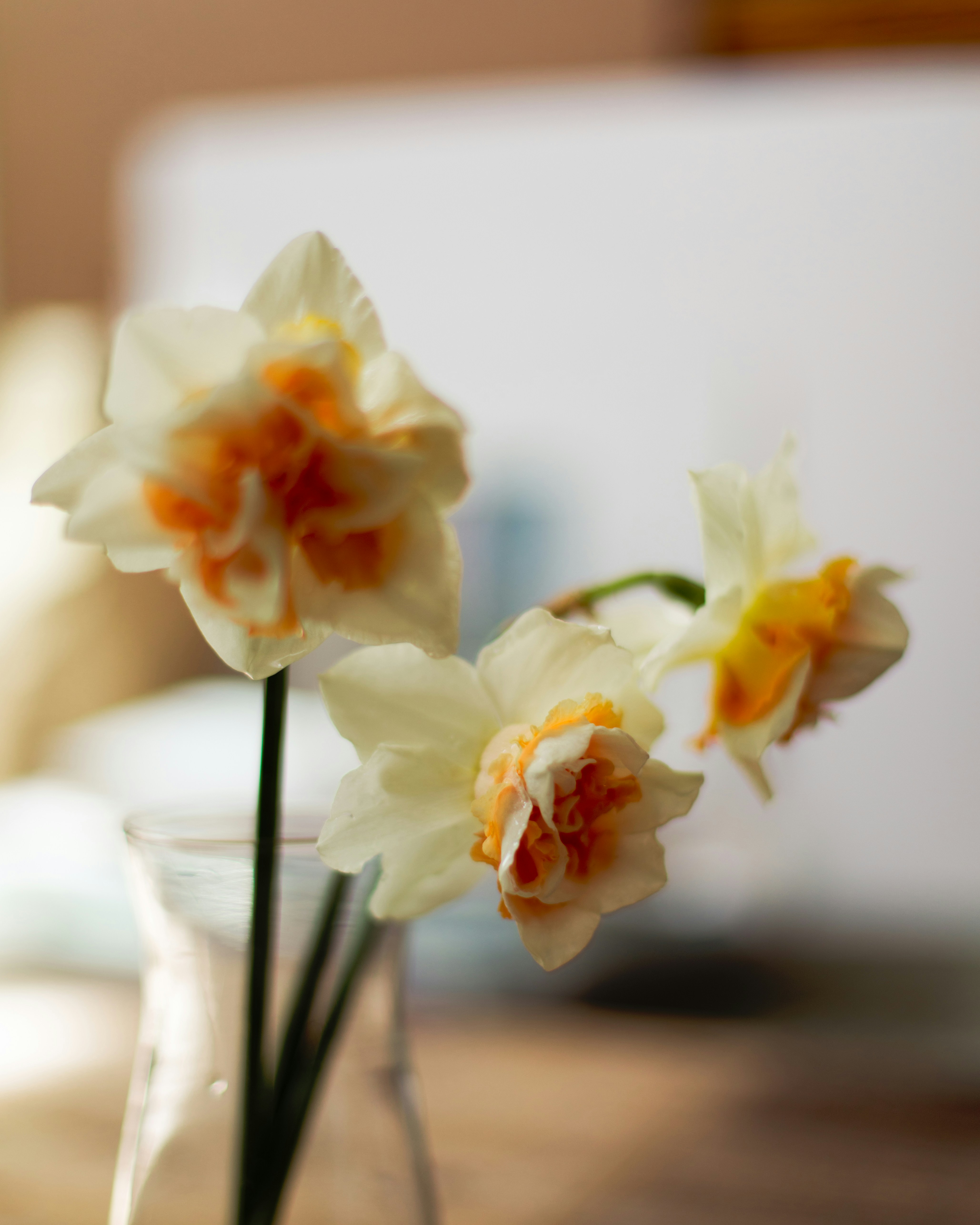 Photo by sixteenmilesout