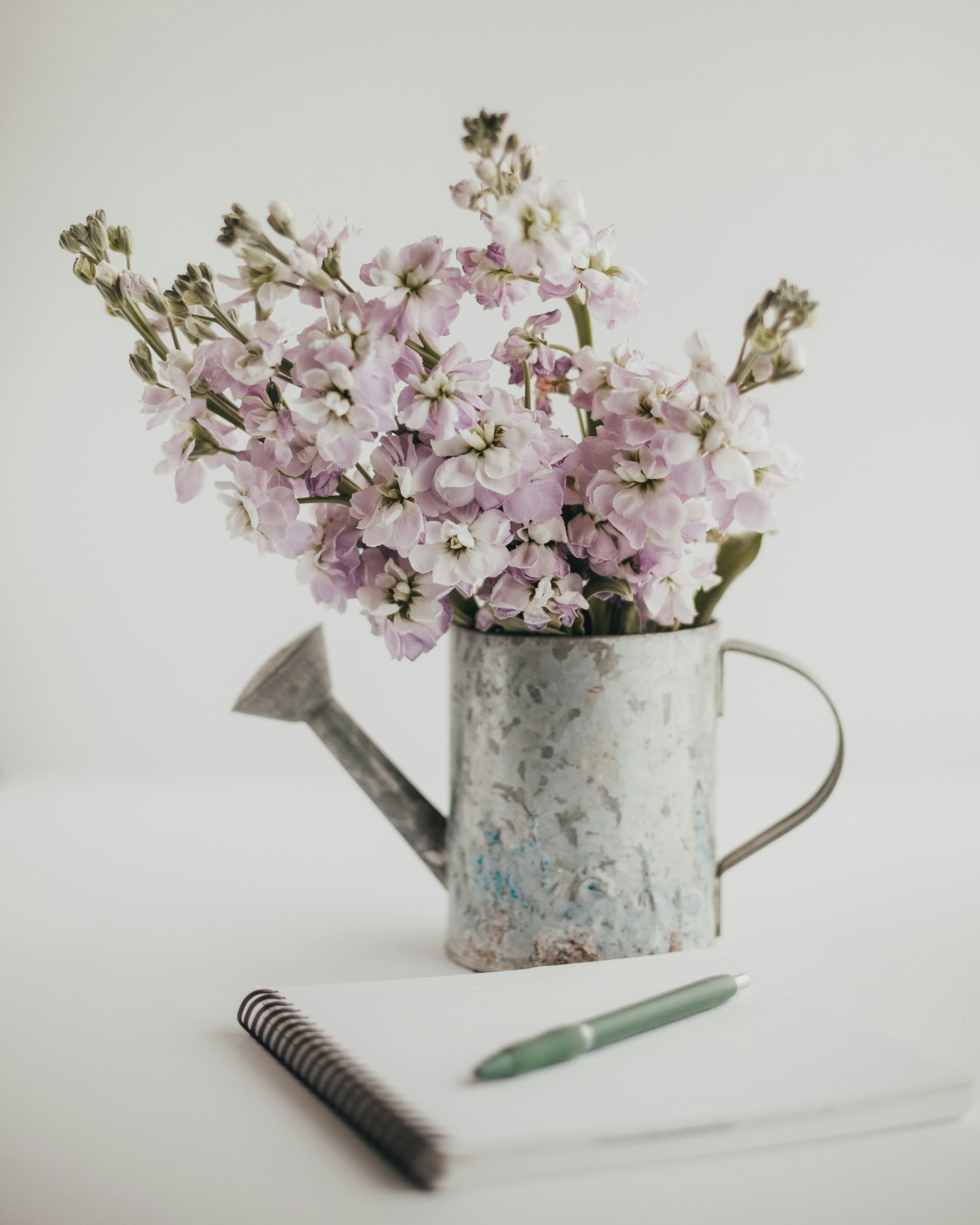 Photo by sixteenmilesout