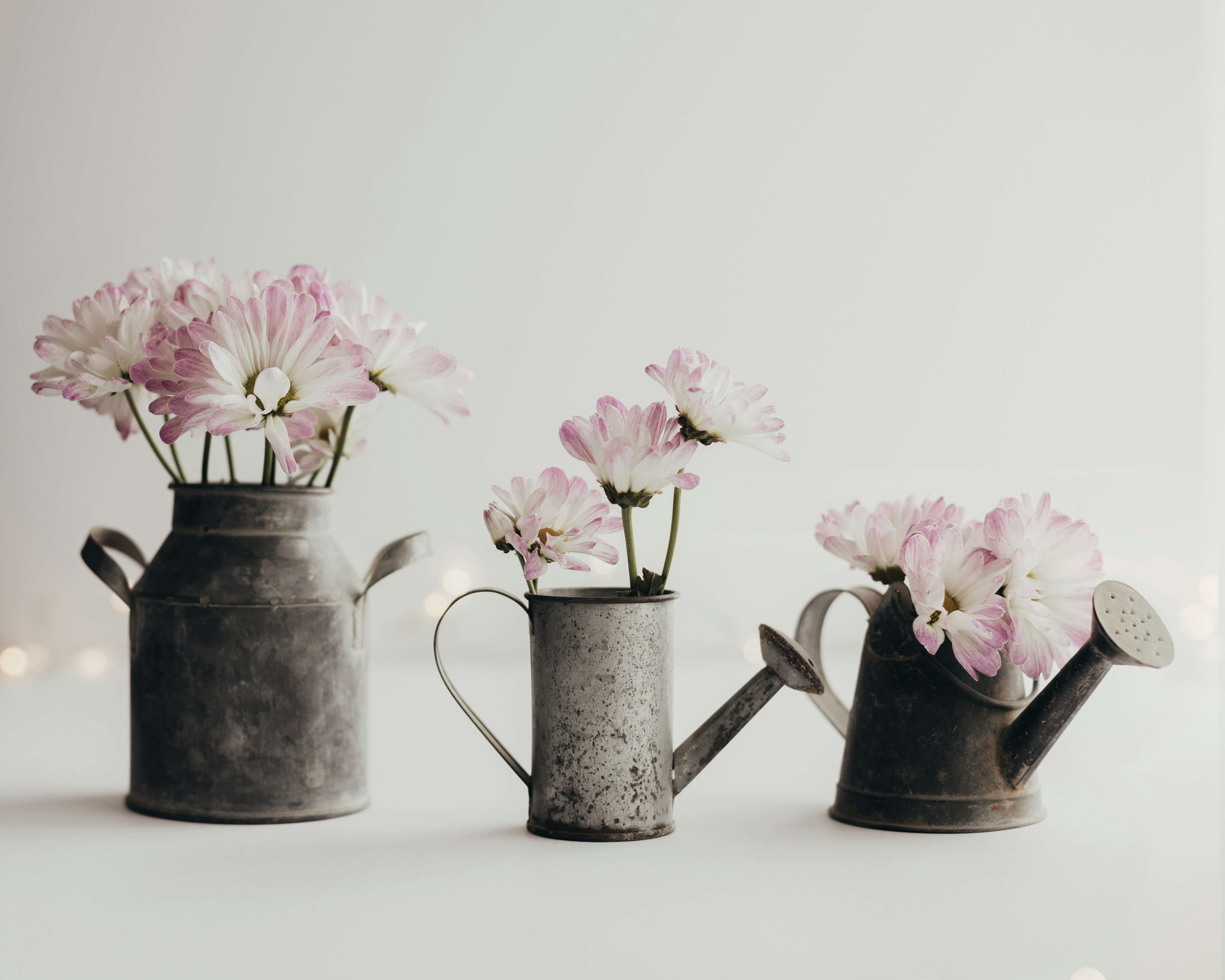 Photo by sixteenmilesout