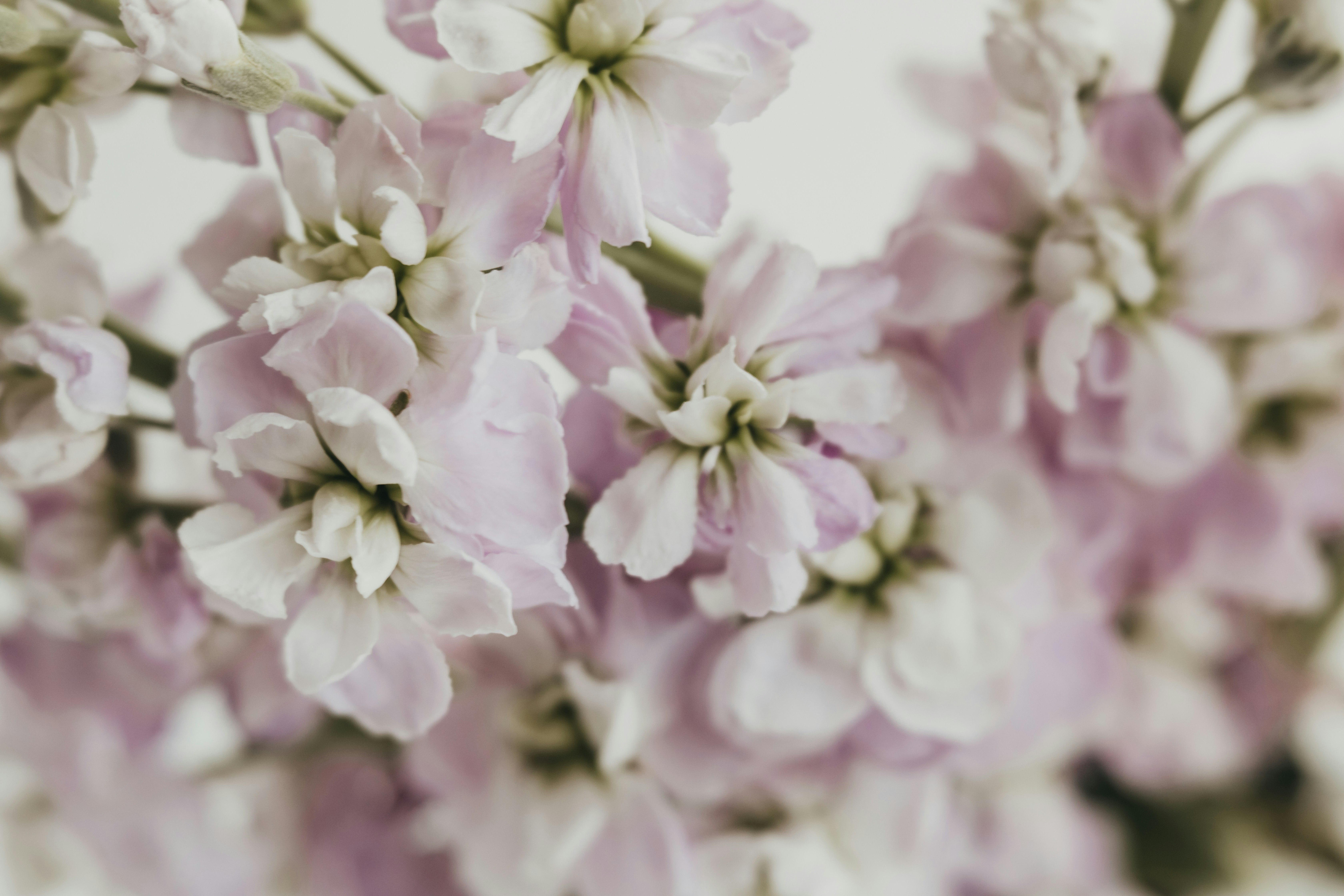 Photo by sixteenmilesout