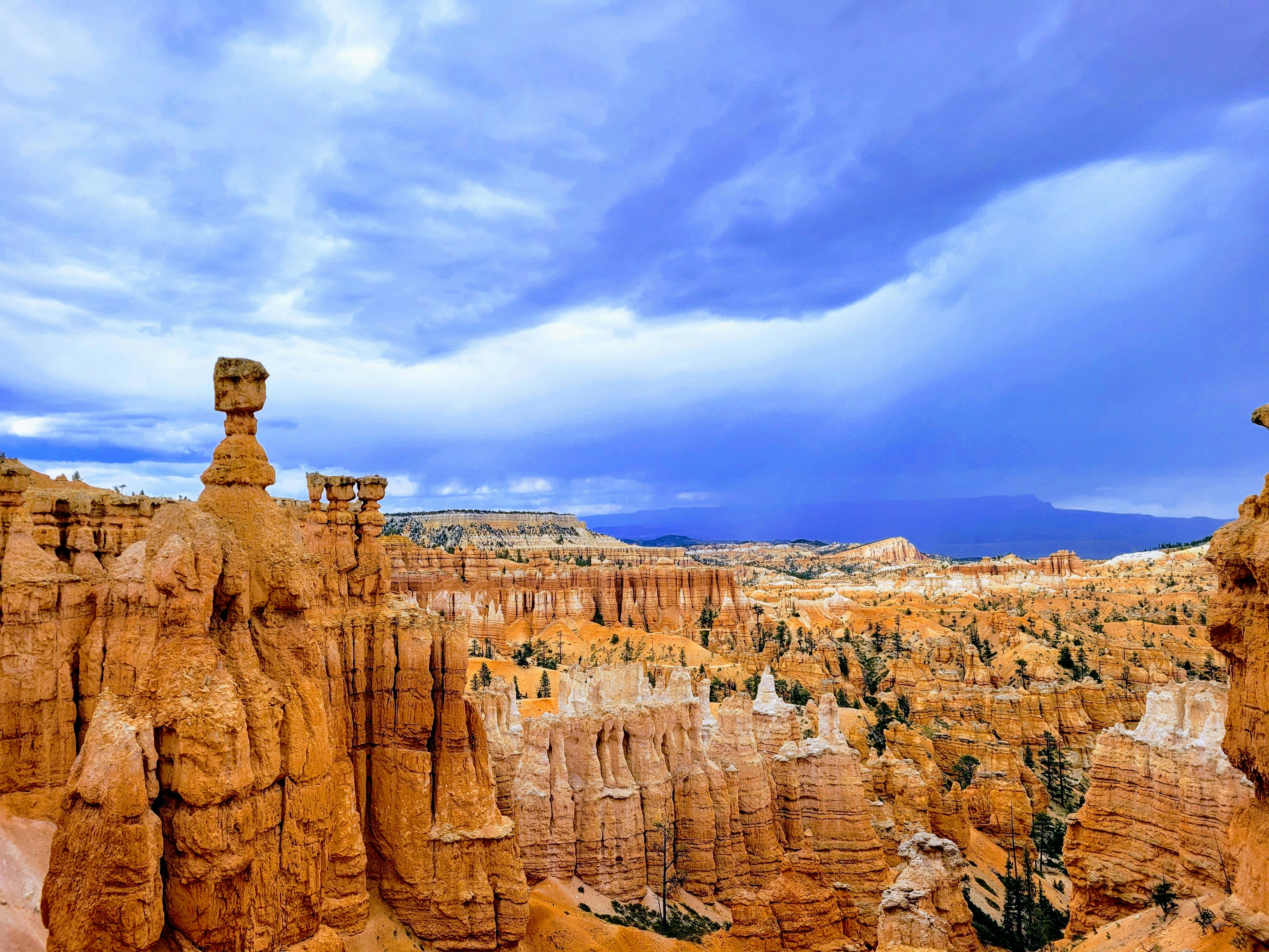 Photo by stevie_vinn