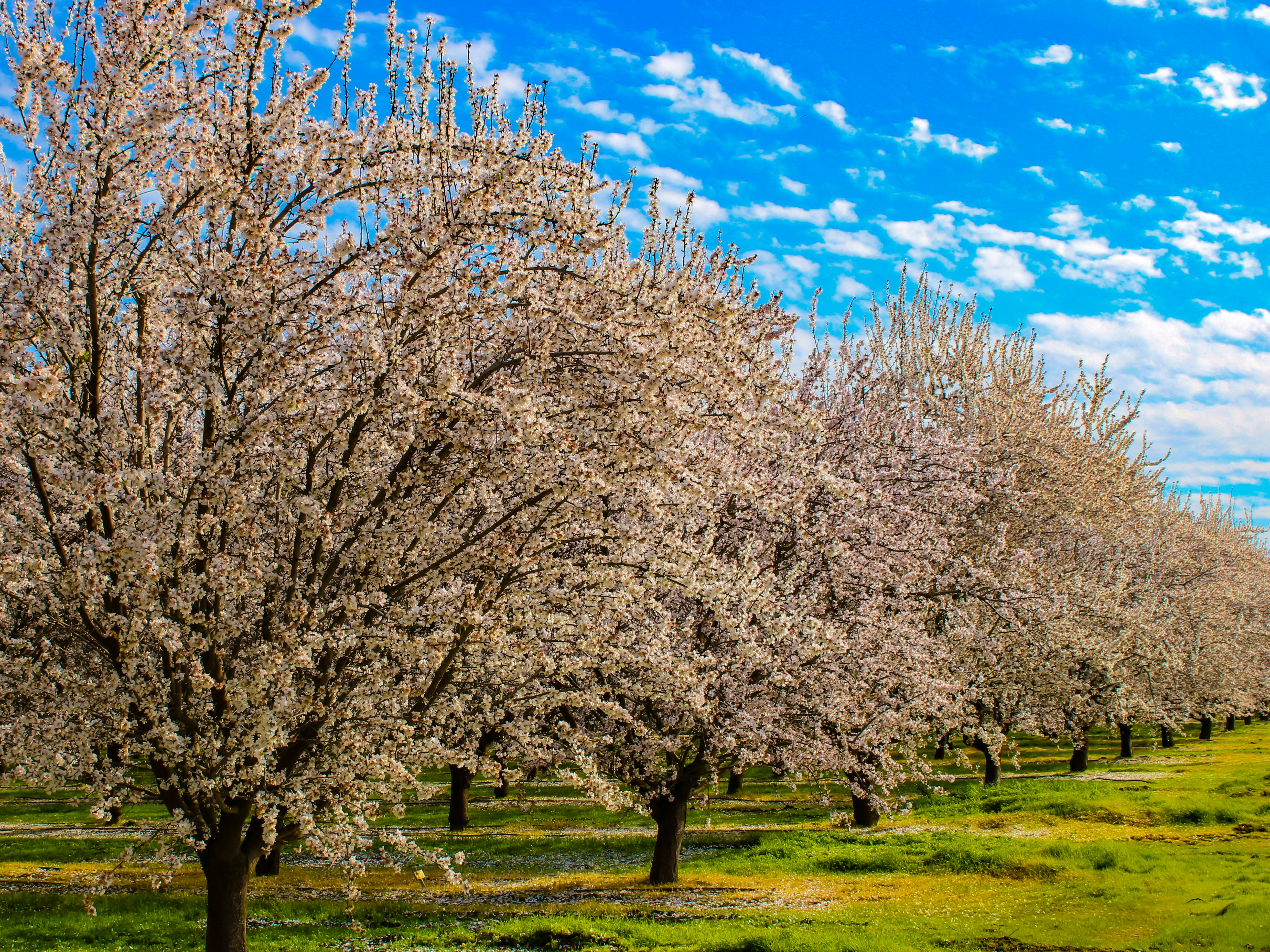 Photo by stevie_vinn