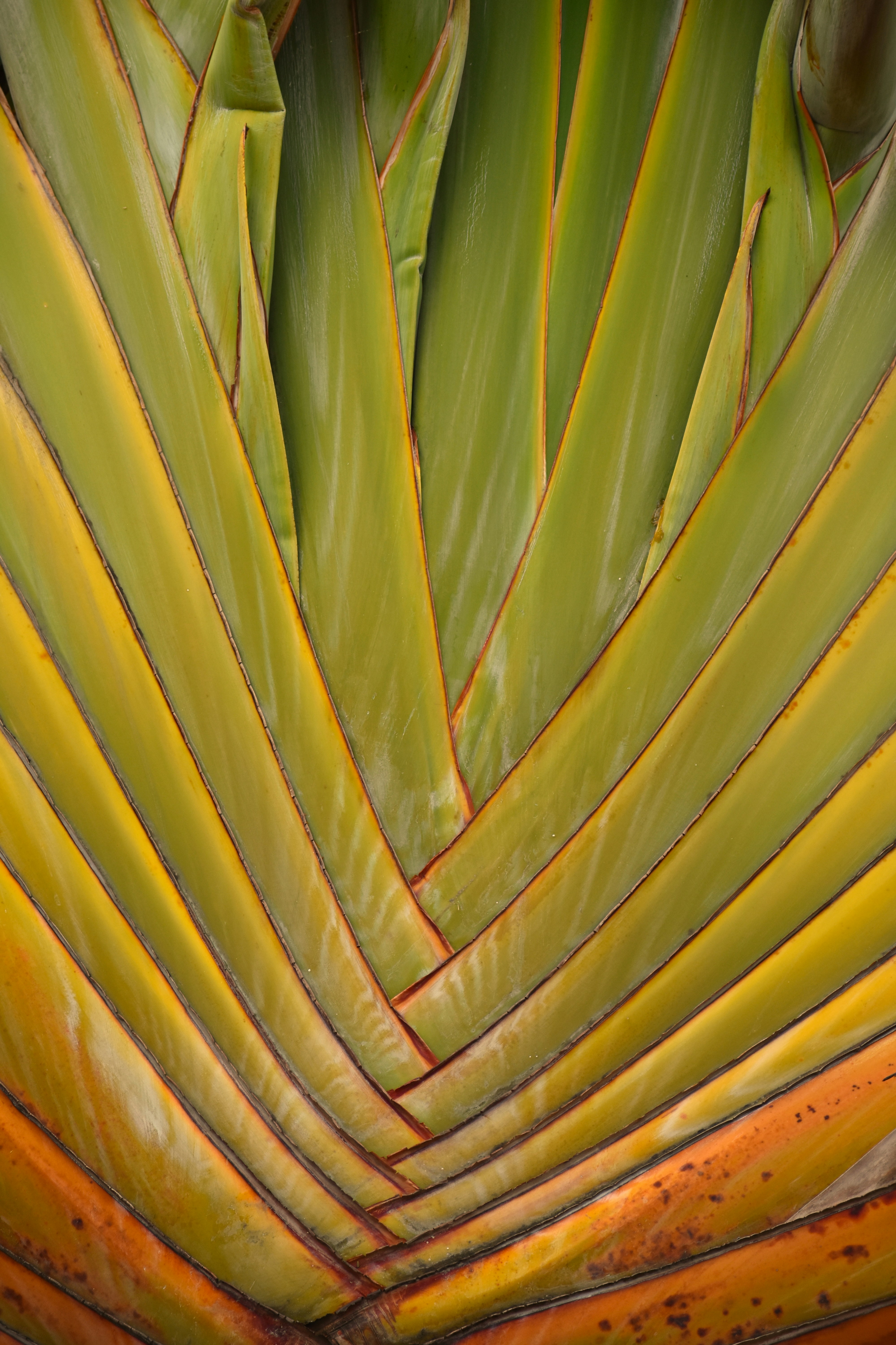 Photo by matheus_oliveira