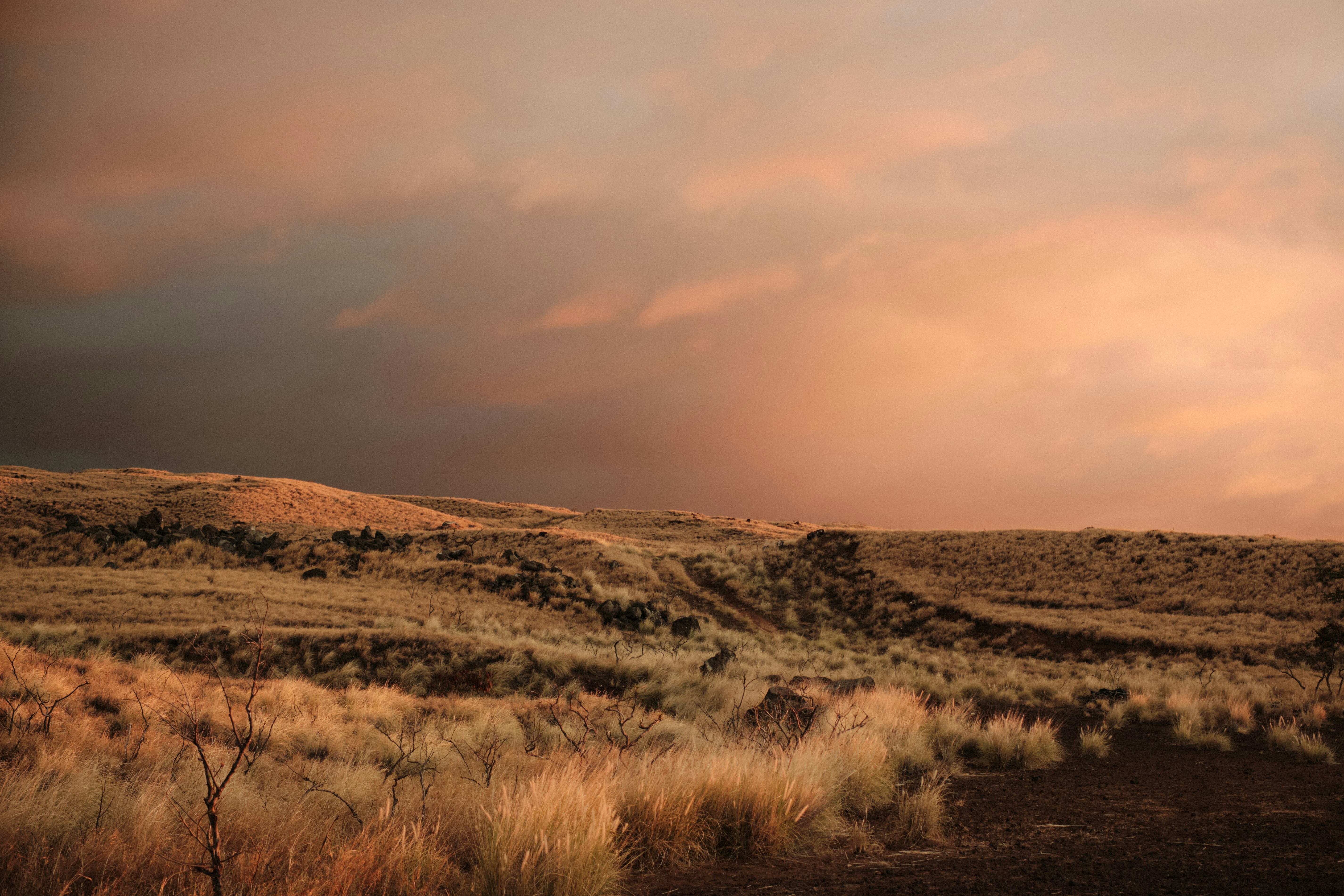 Barren landscape is illuminated by a colorful sunset.