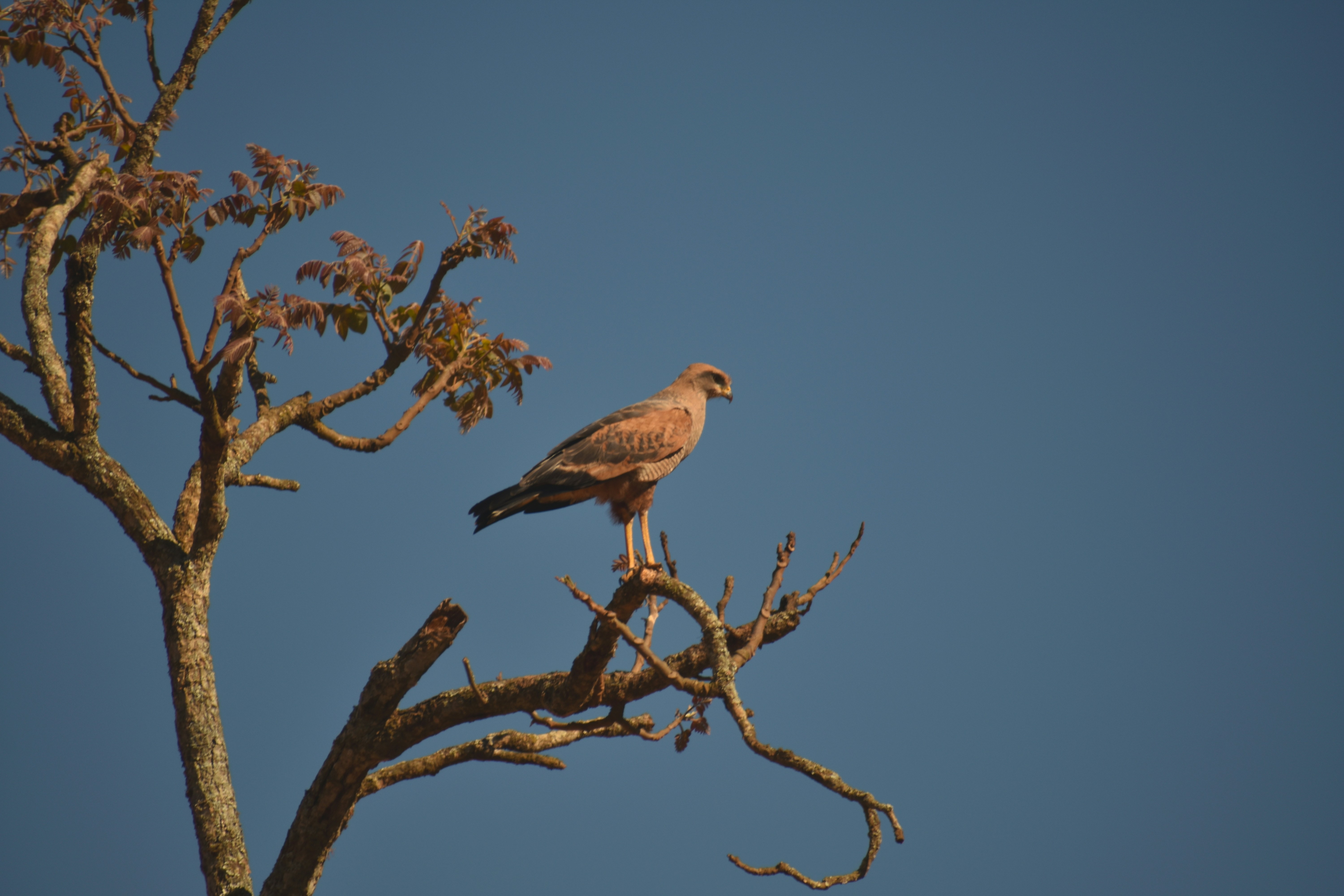 Photo by matheus_oliveira