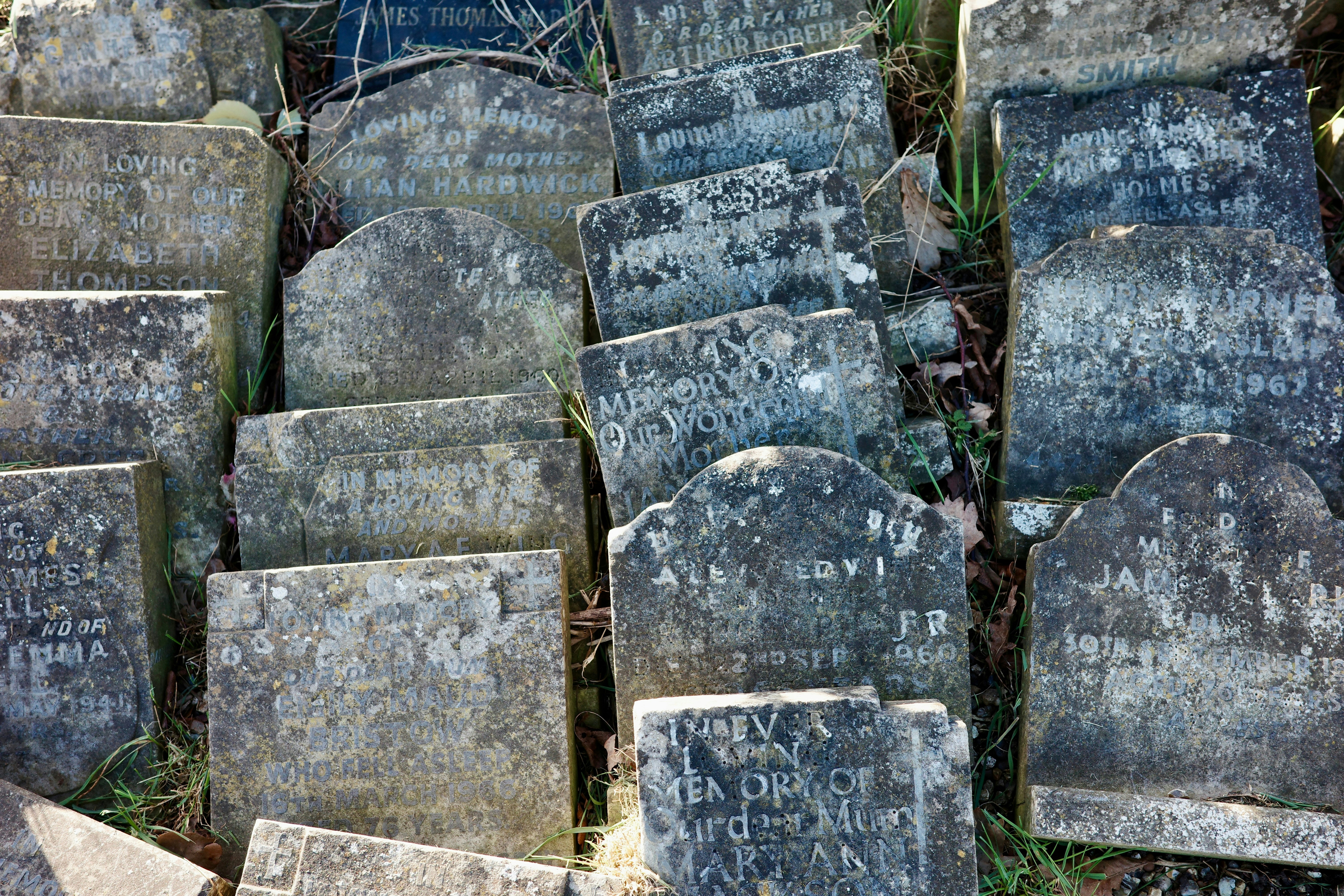 Photo by tomasrobertson