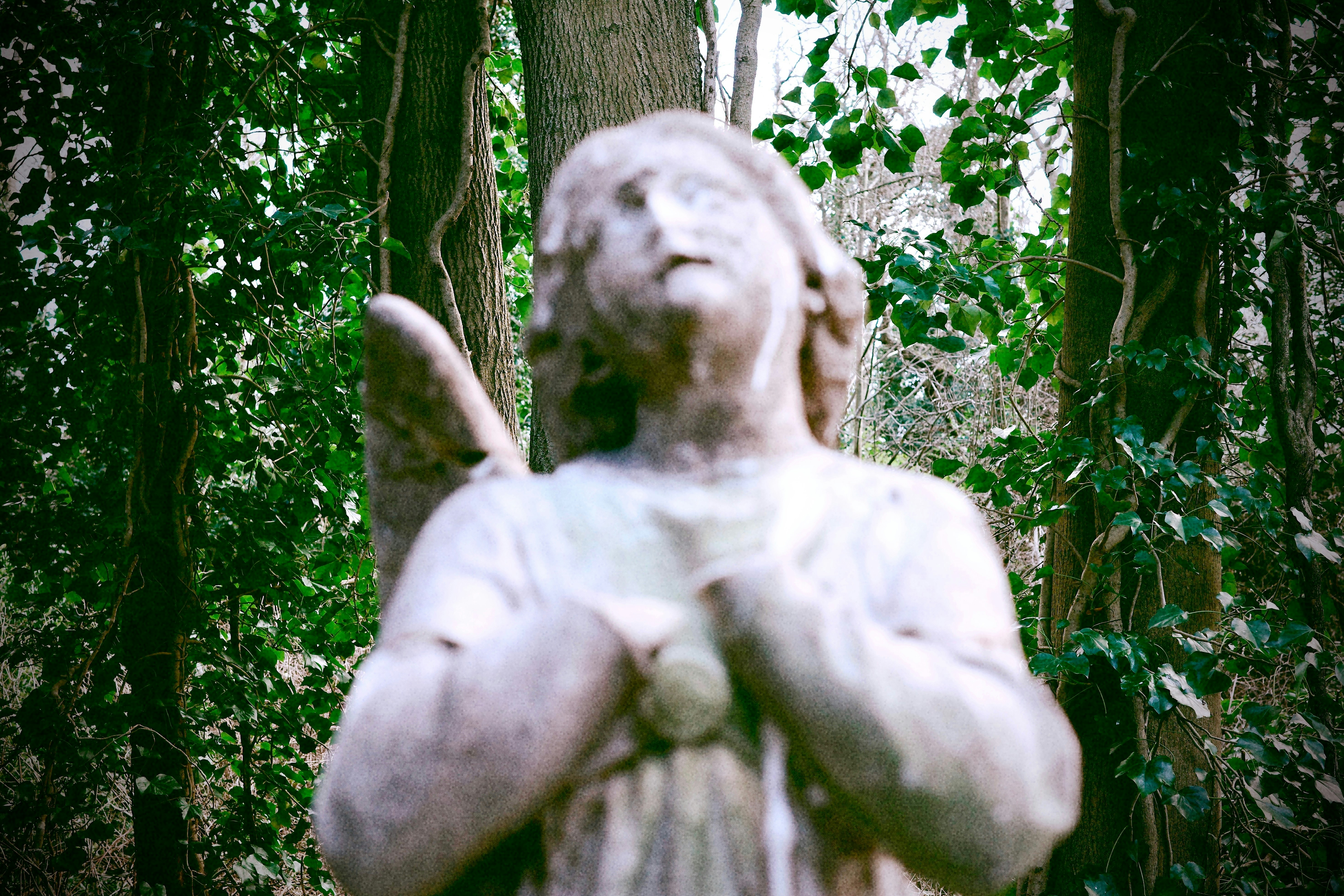 Photo by tomasrobertson