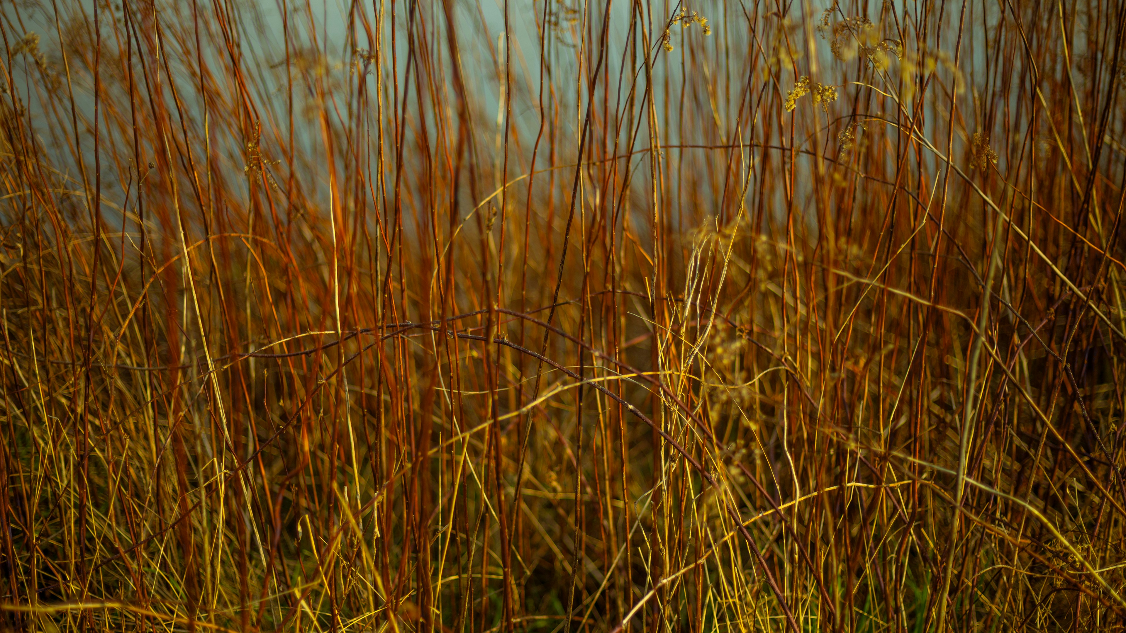 Photo by zdzieblowski