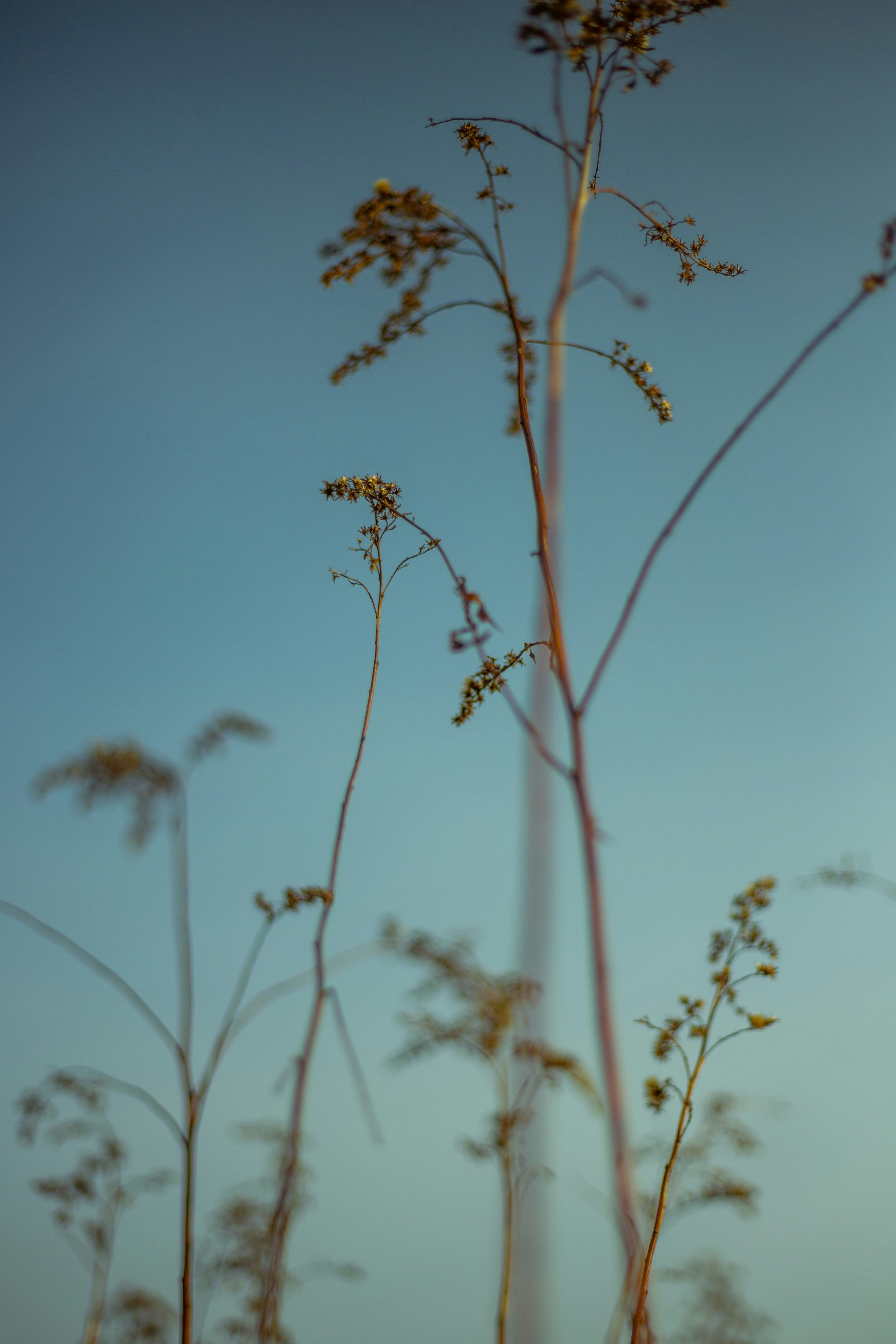 Photo by zdzieblowski