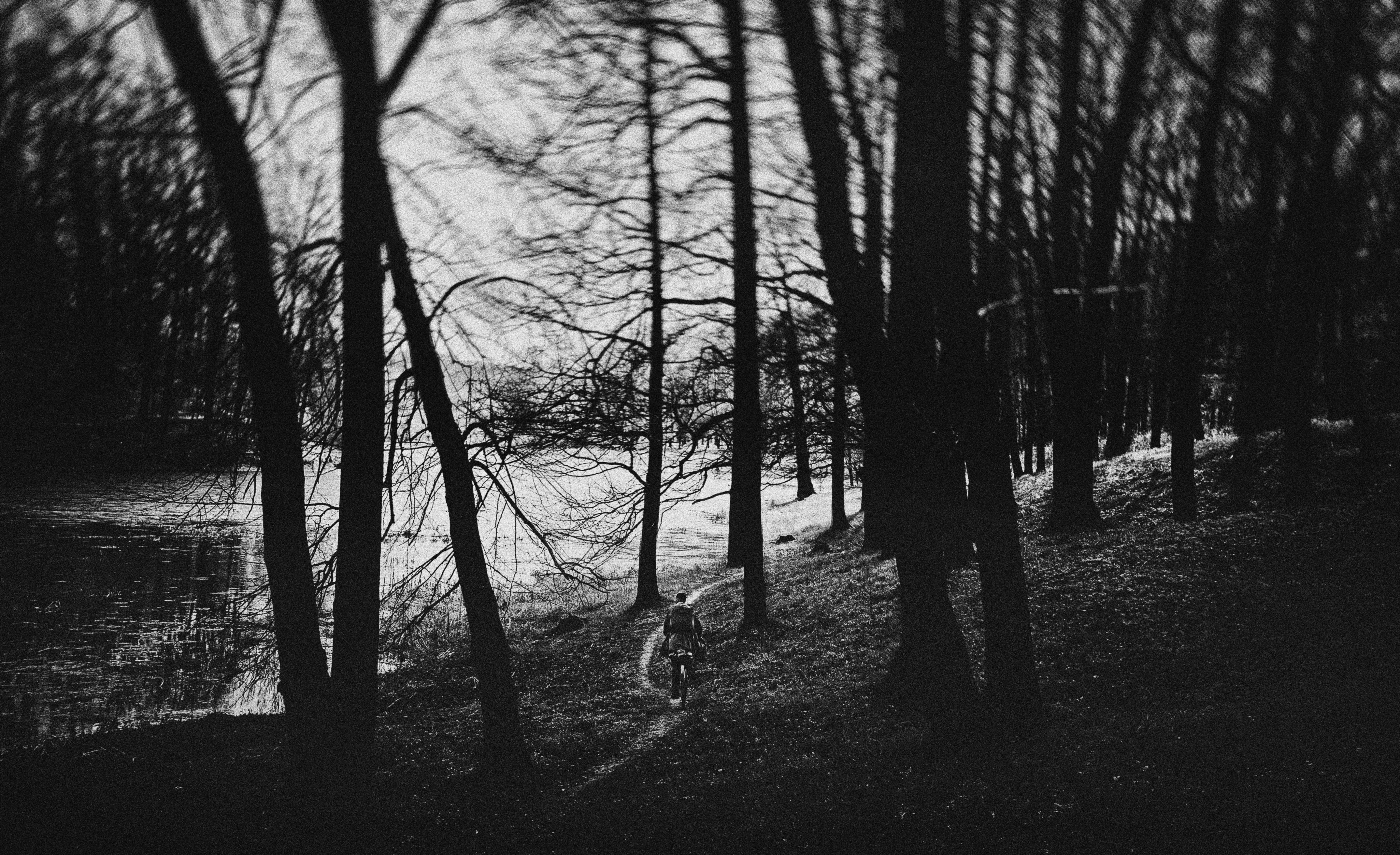 Photo by vitaliyshev89