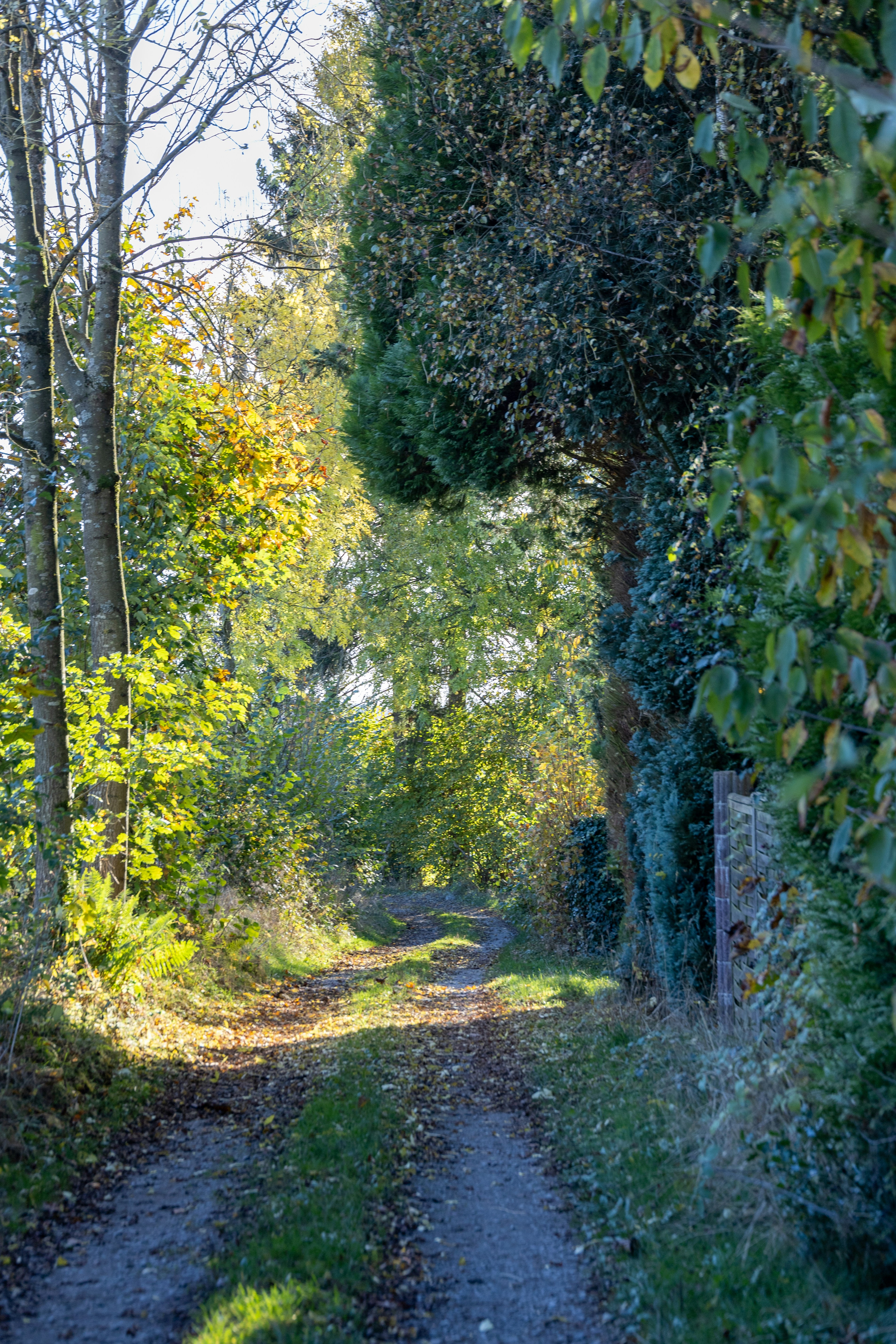 Photo by stockbirken