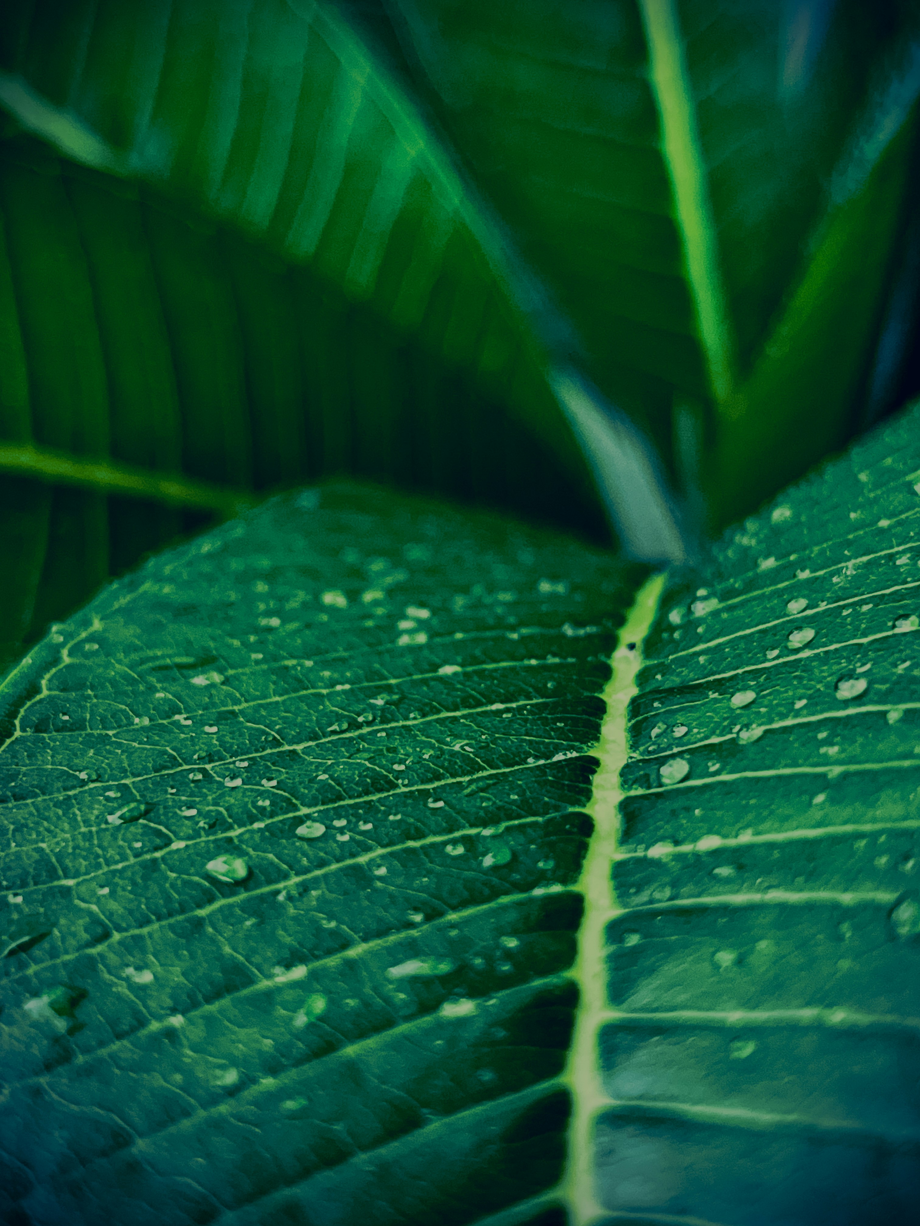 Photo by iamdivyanshdwivedi