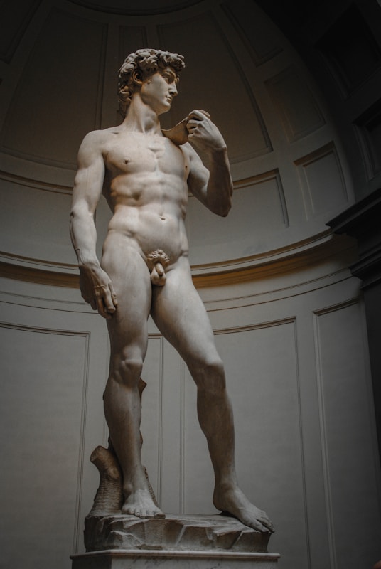 Michelangelo's David