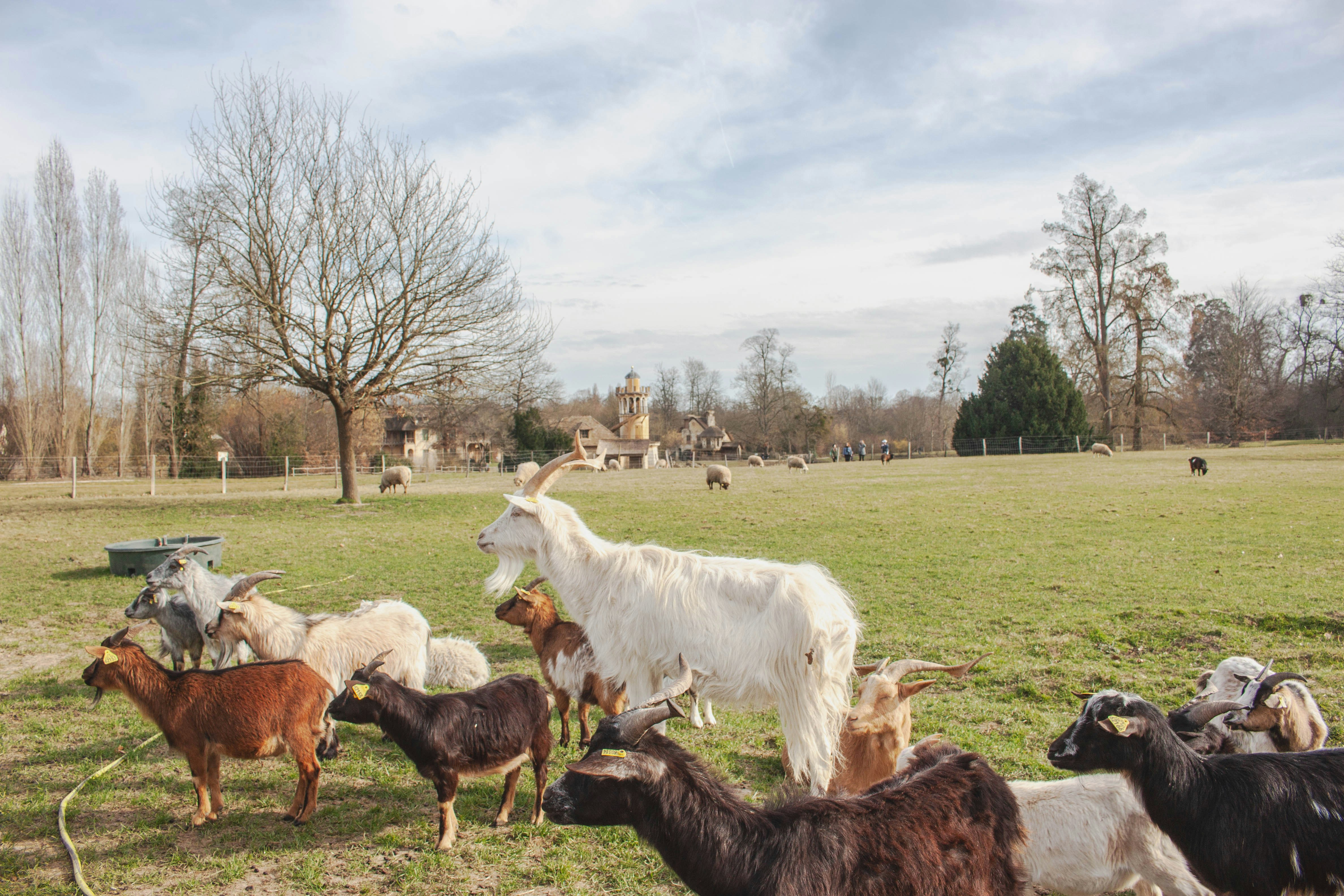 Photo by kamillaisalieva